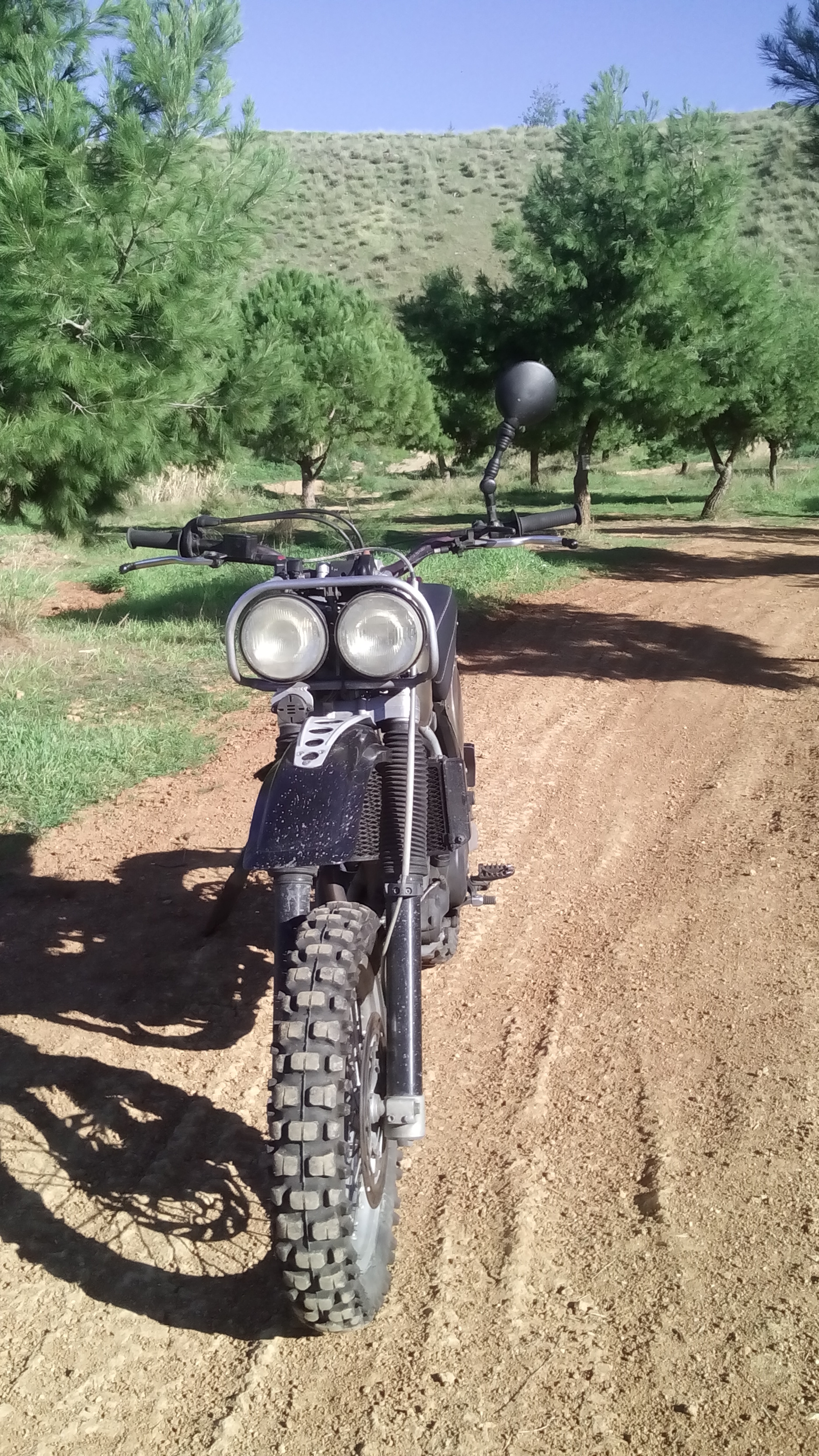 Photo 2774372
