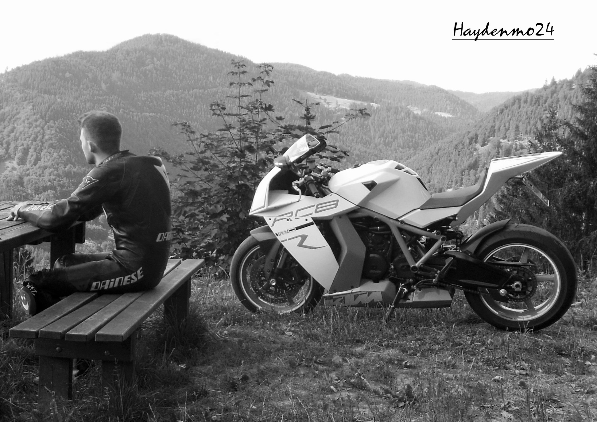 Photo 2774386