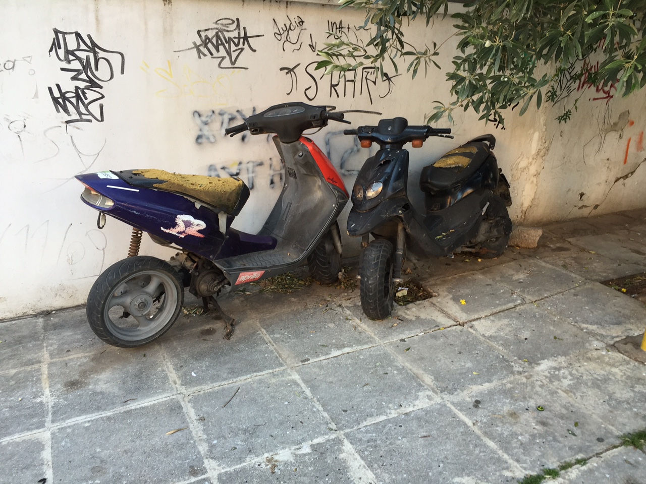 Bike Photo 2774416