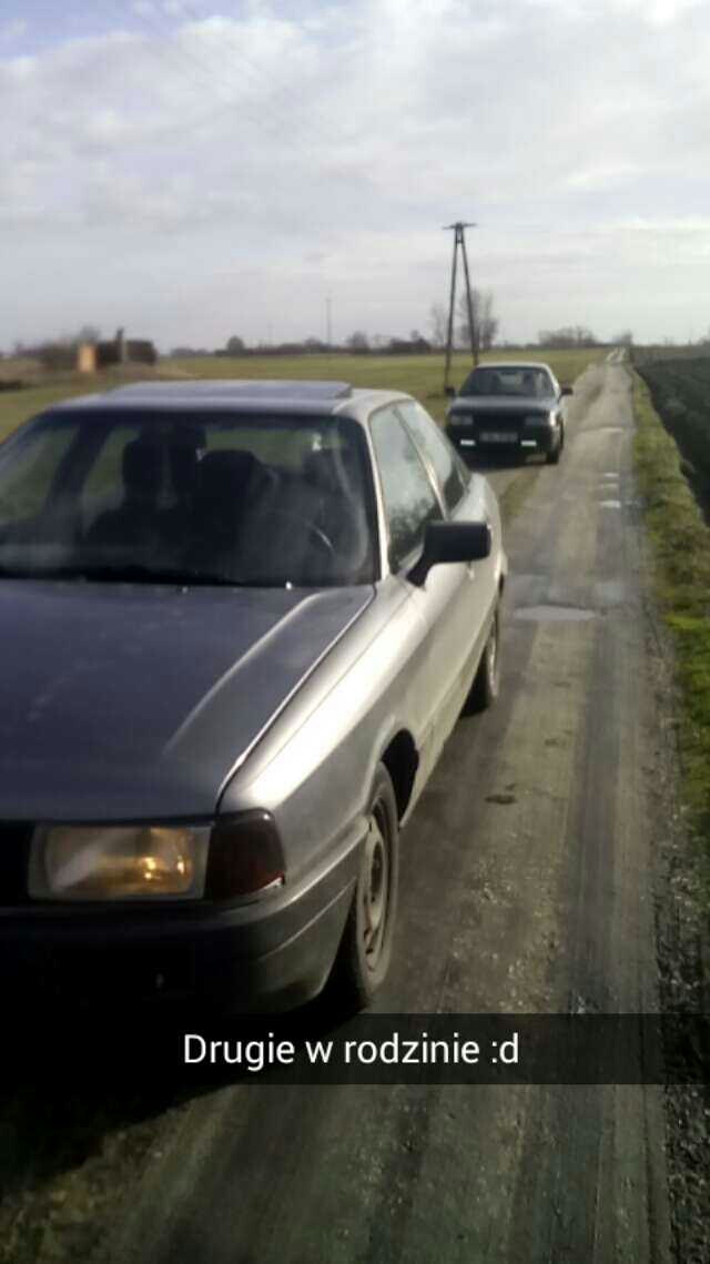 Photo 2774455