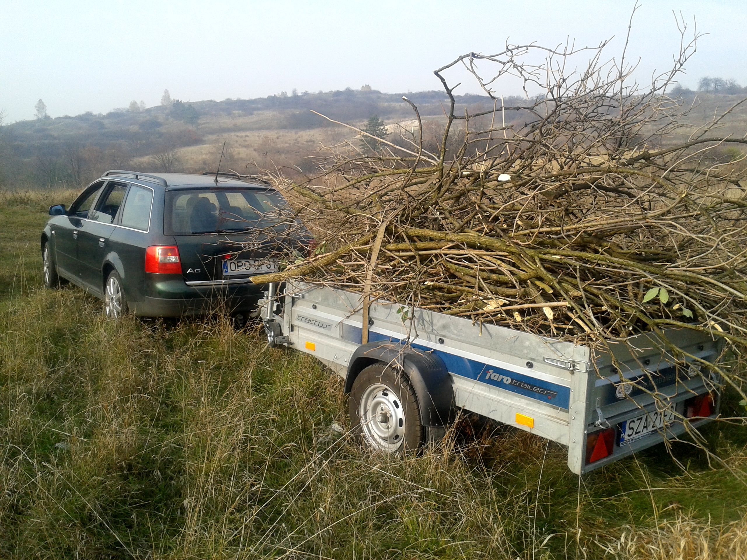 Photo 2774520