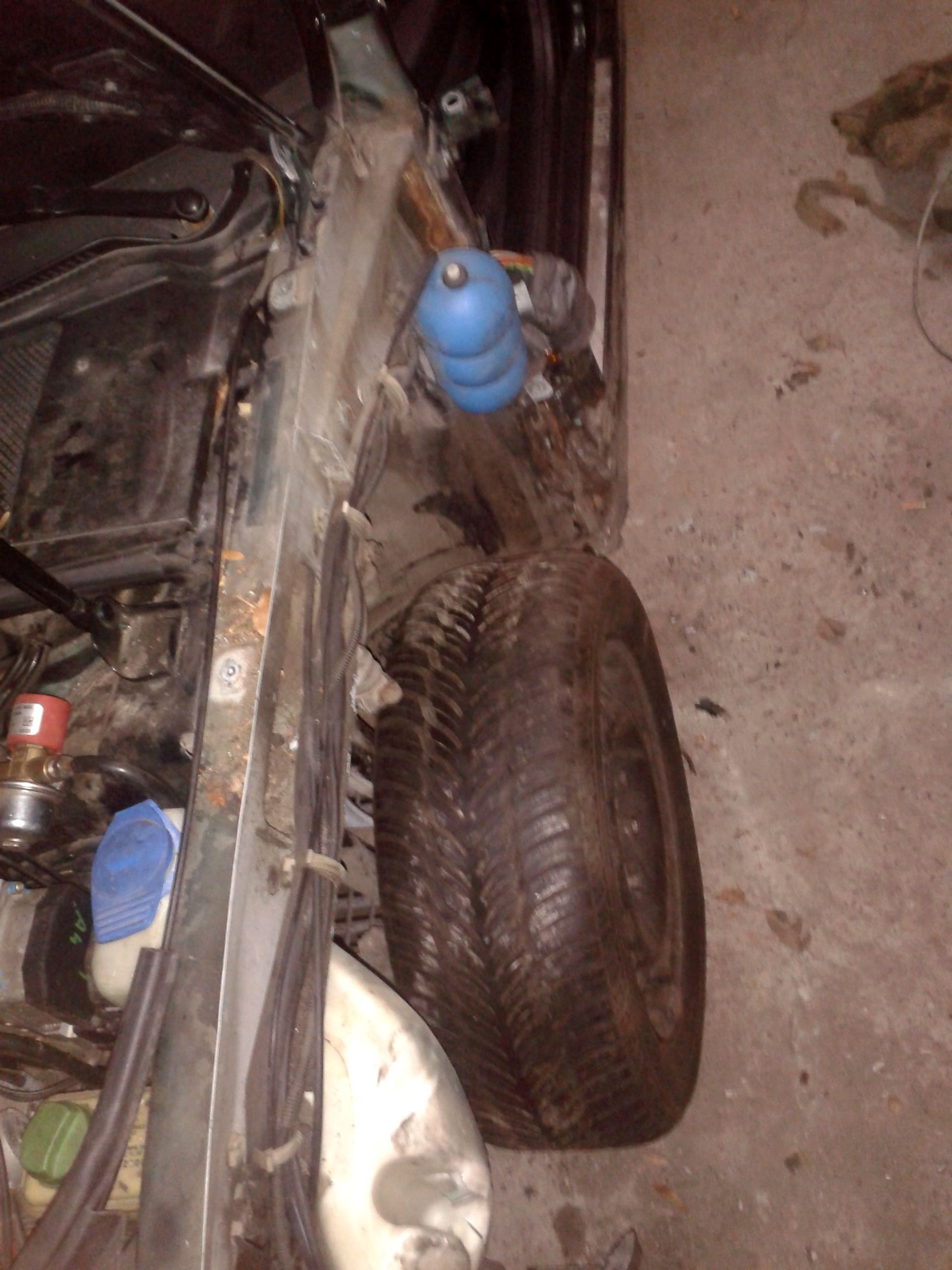 Photo 2774538