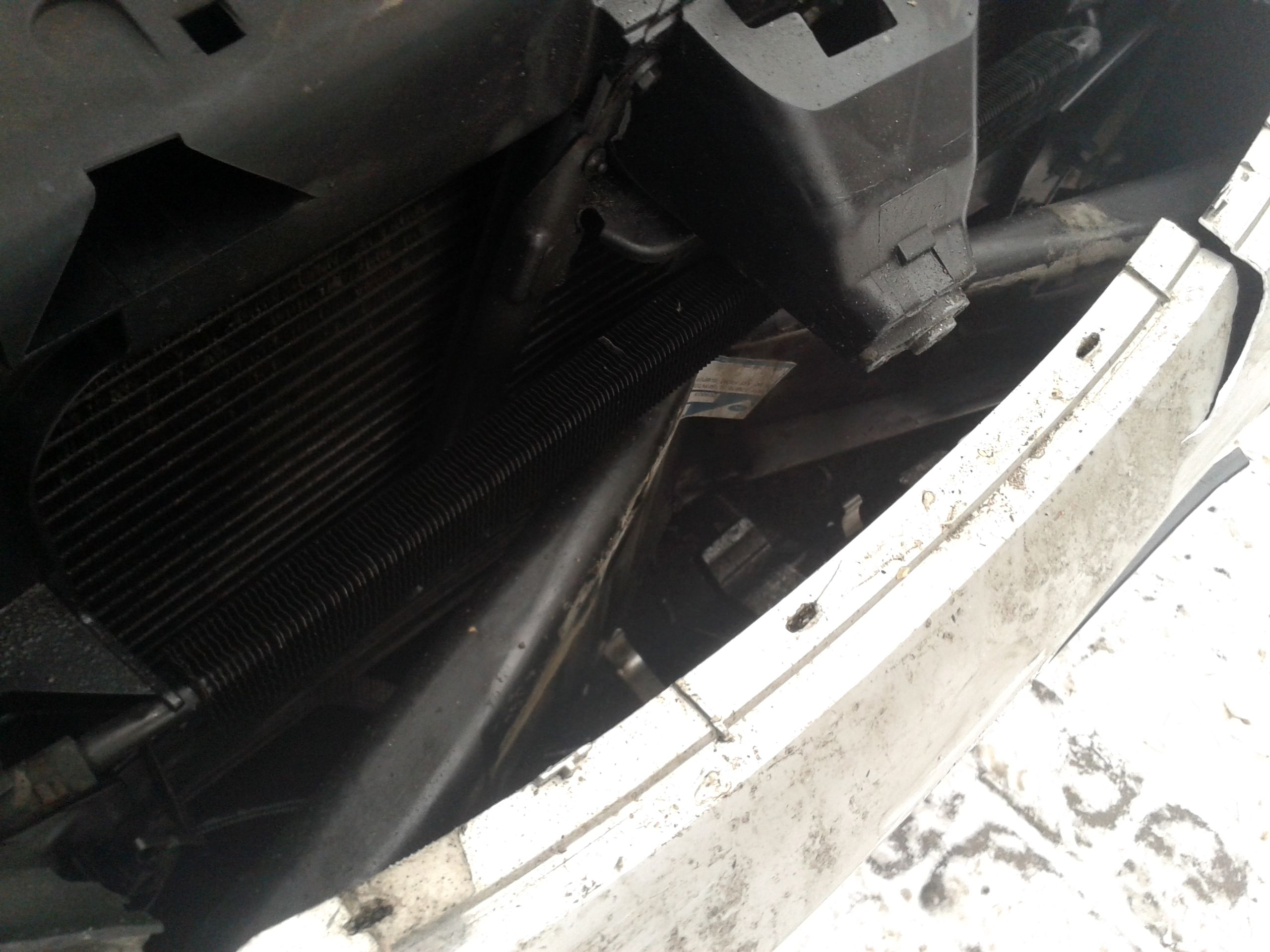 Photo 2774560