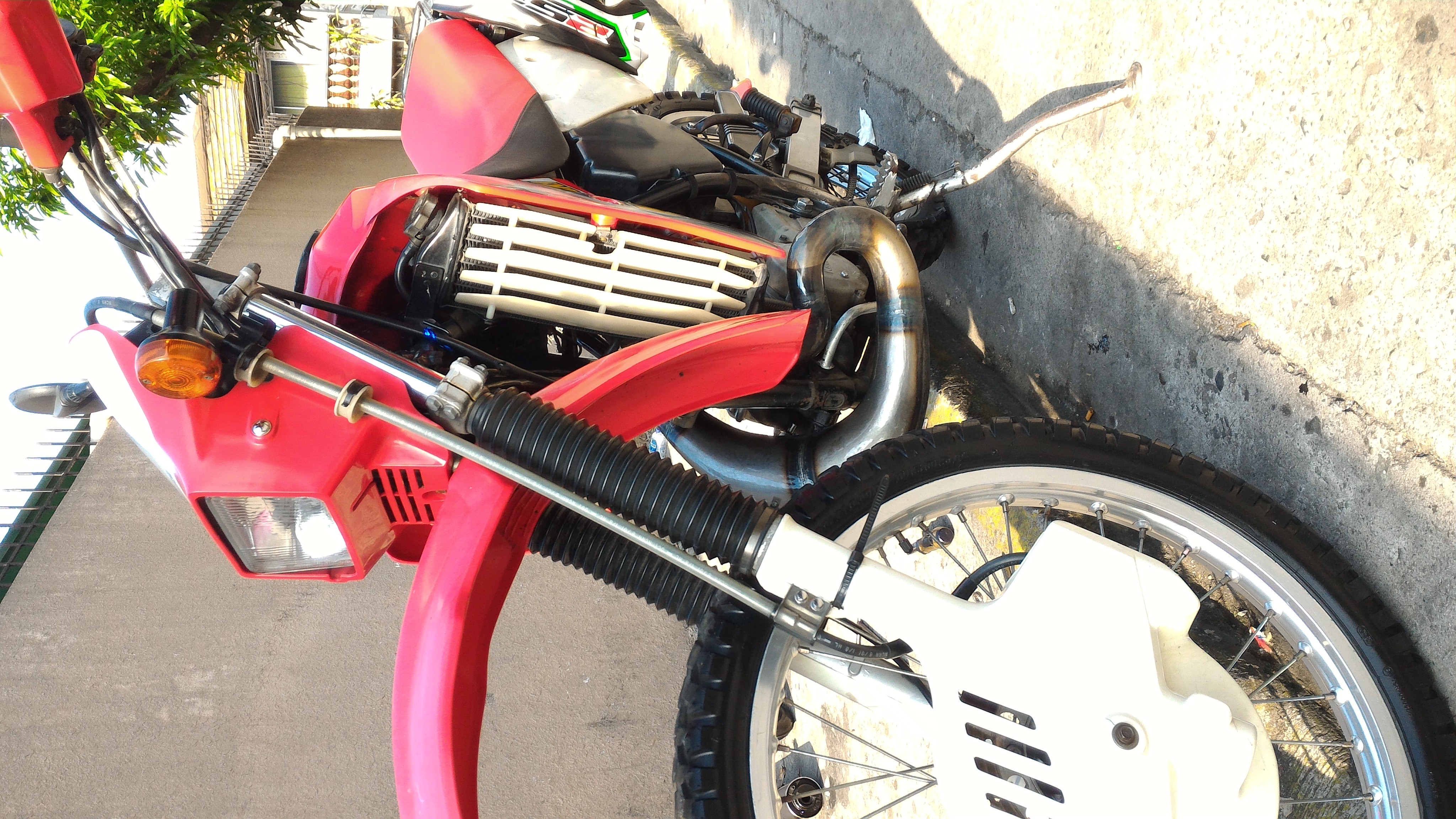 Photo 2774588