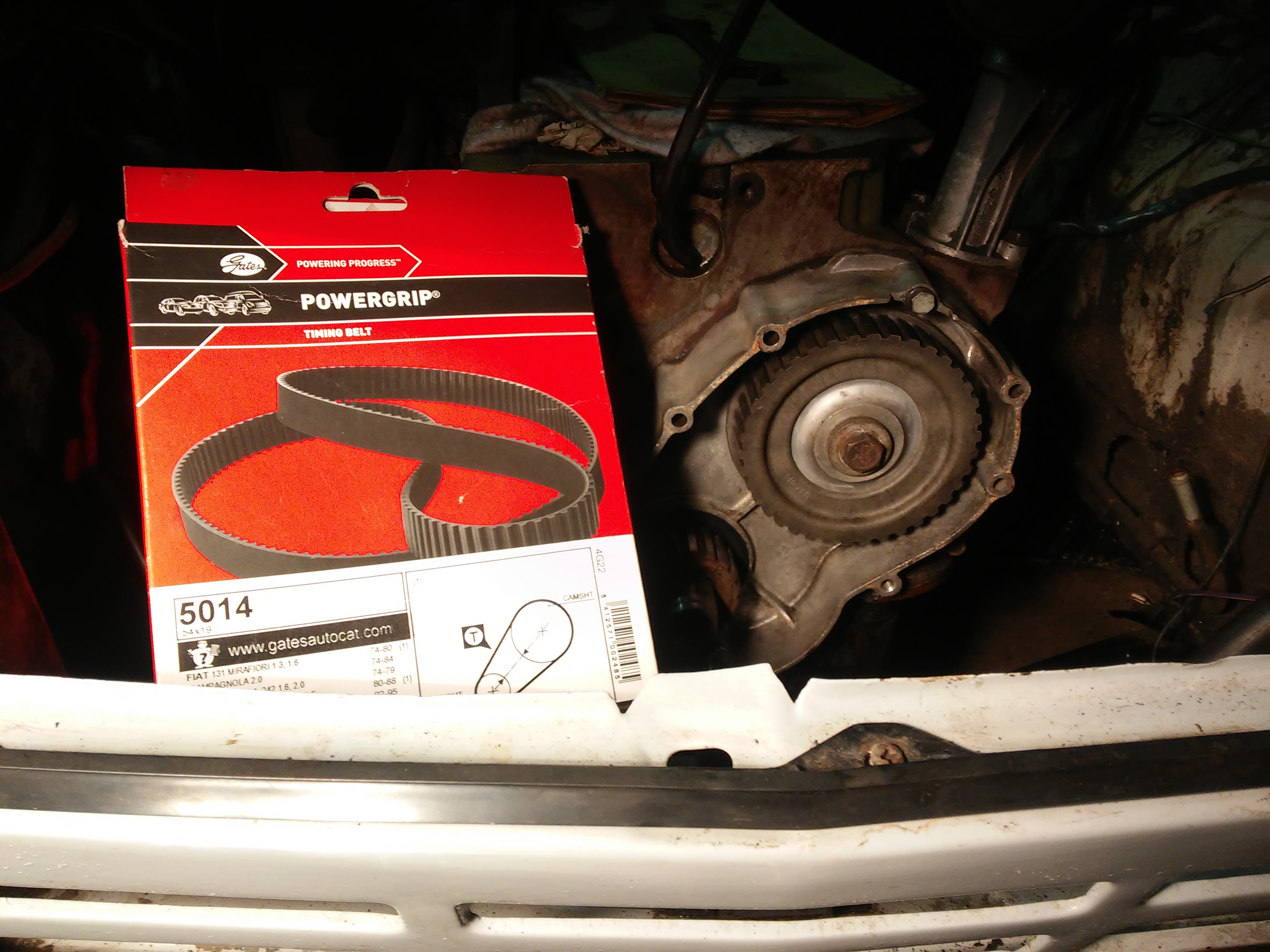 Photo 2774638