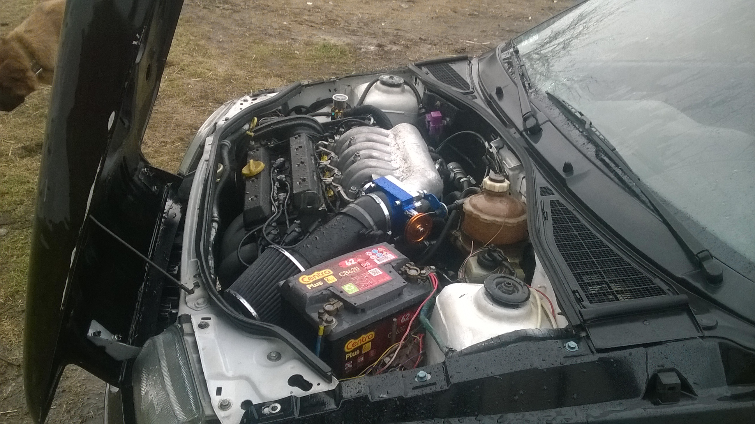 Photo 2774641