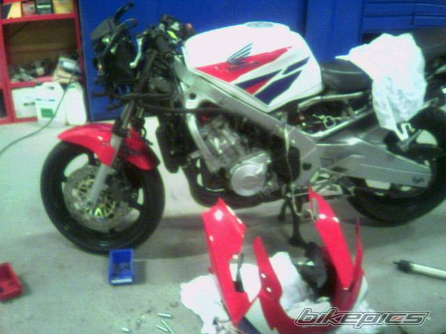 Photo 277475