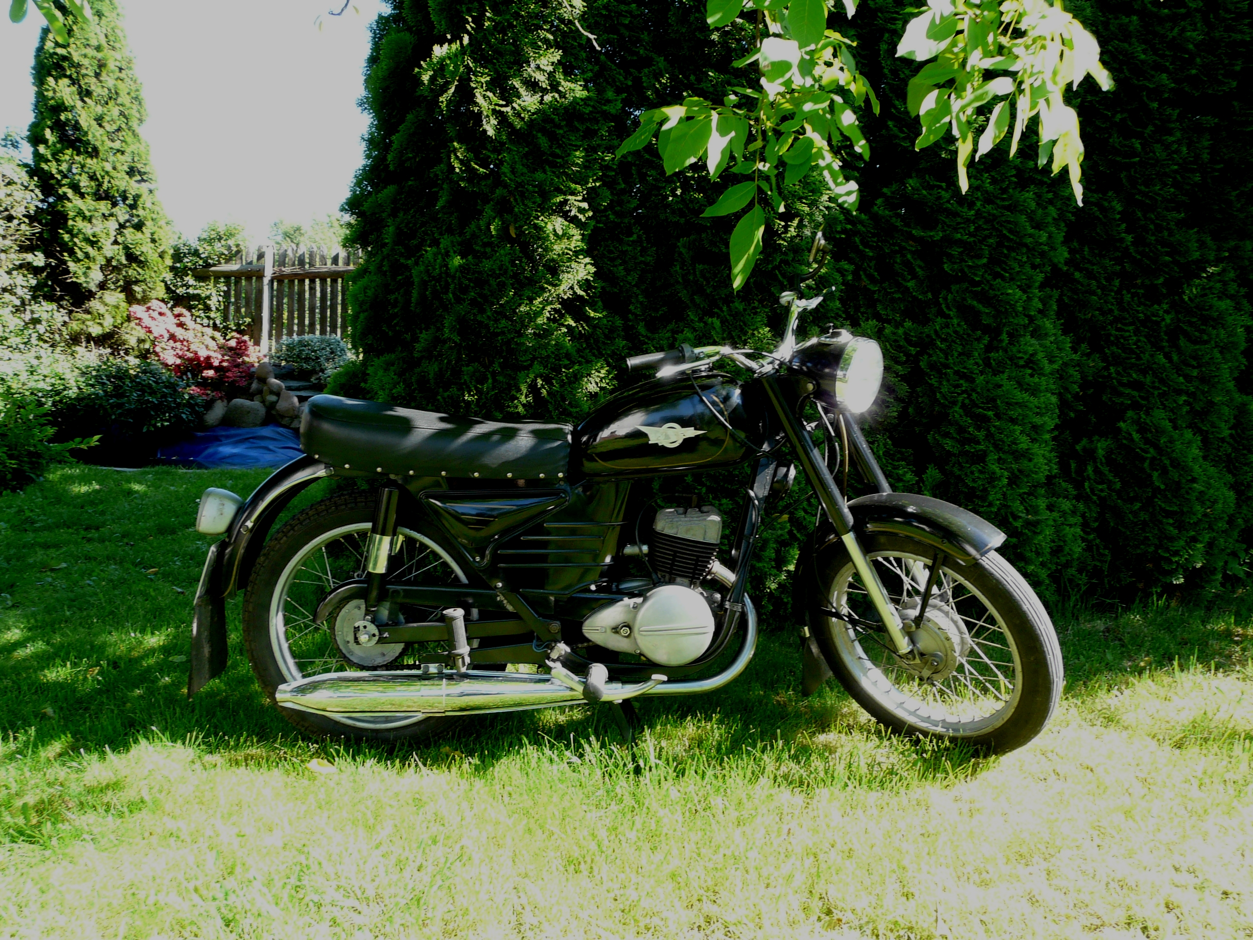 Photo 2774814