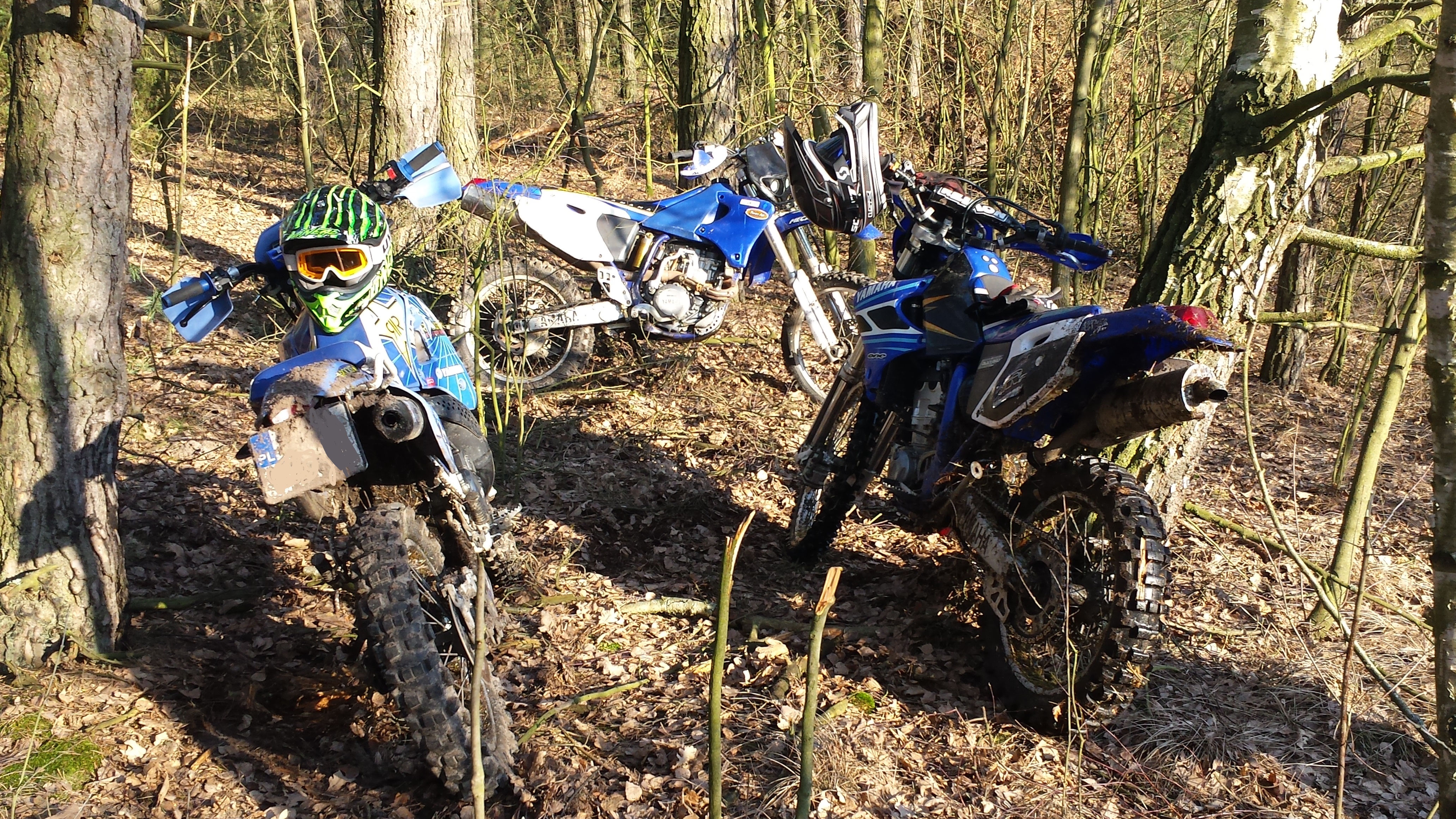 Photo 2774844