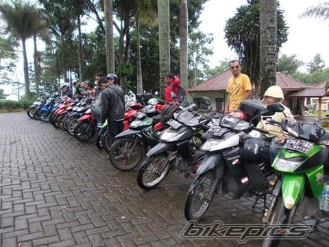 Photo 2774869