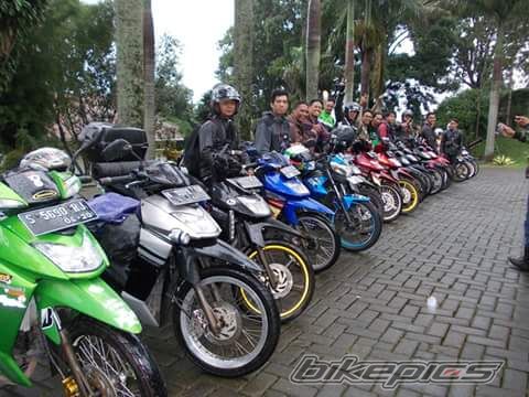 Photo 2774870