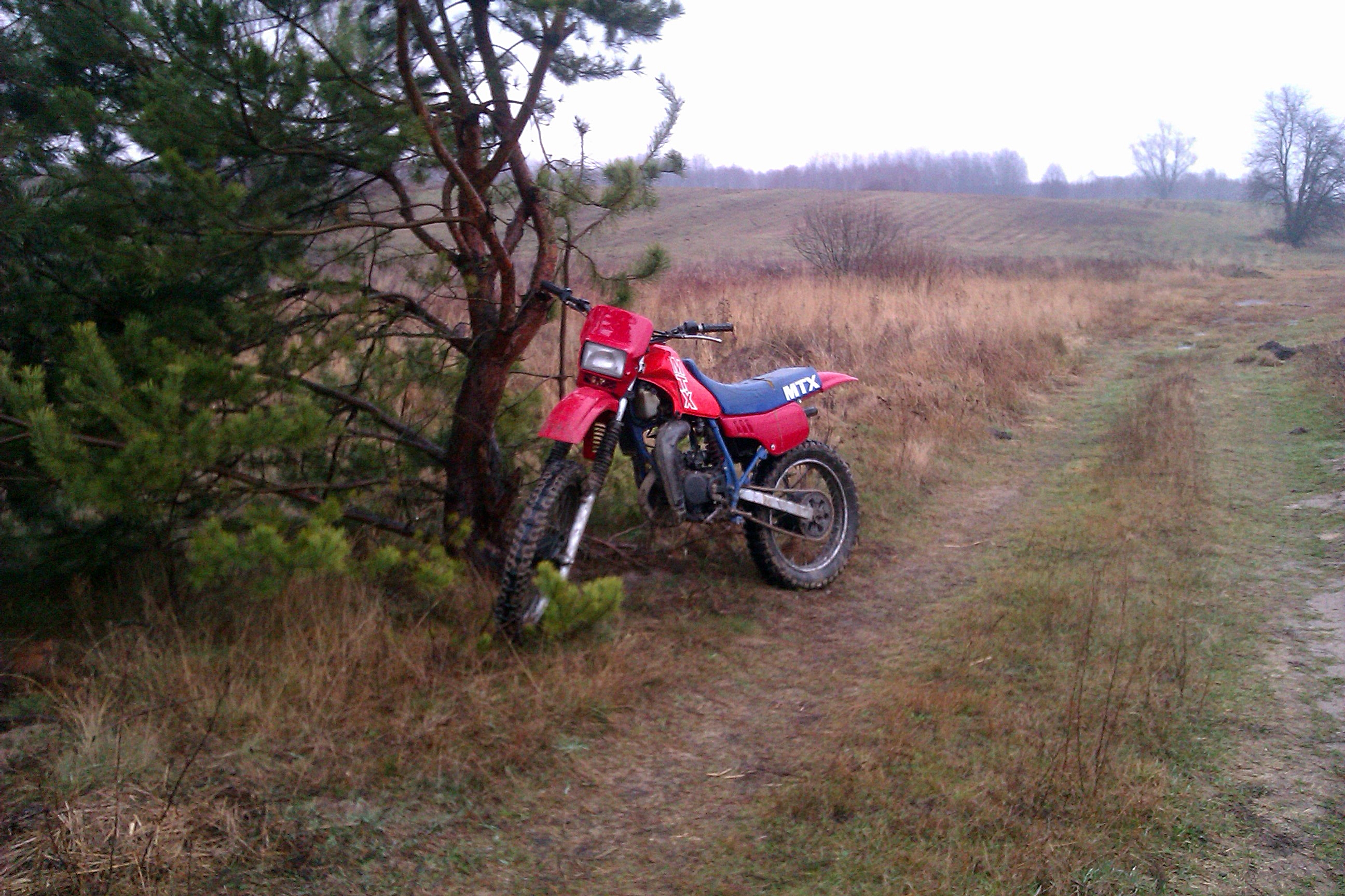 Photo 2774888