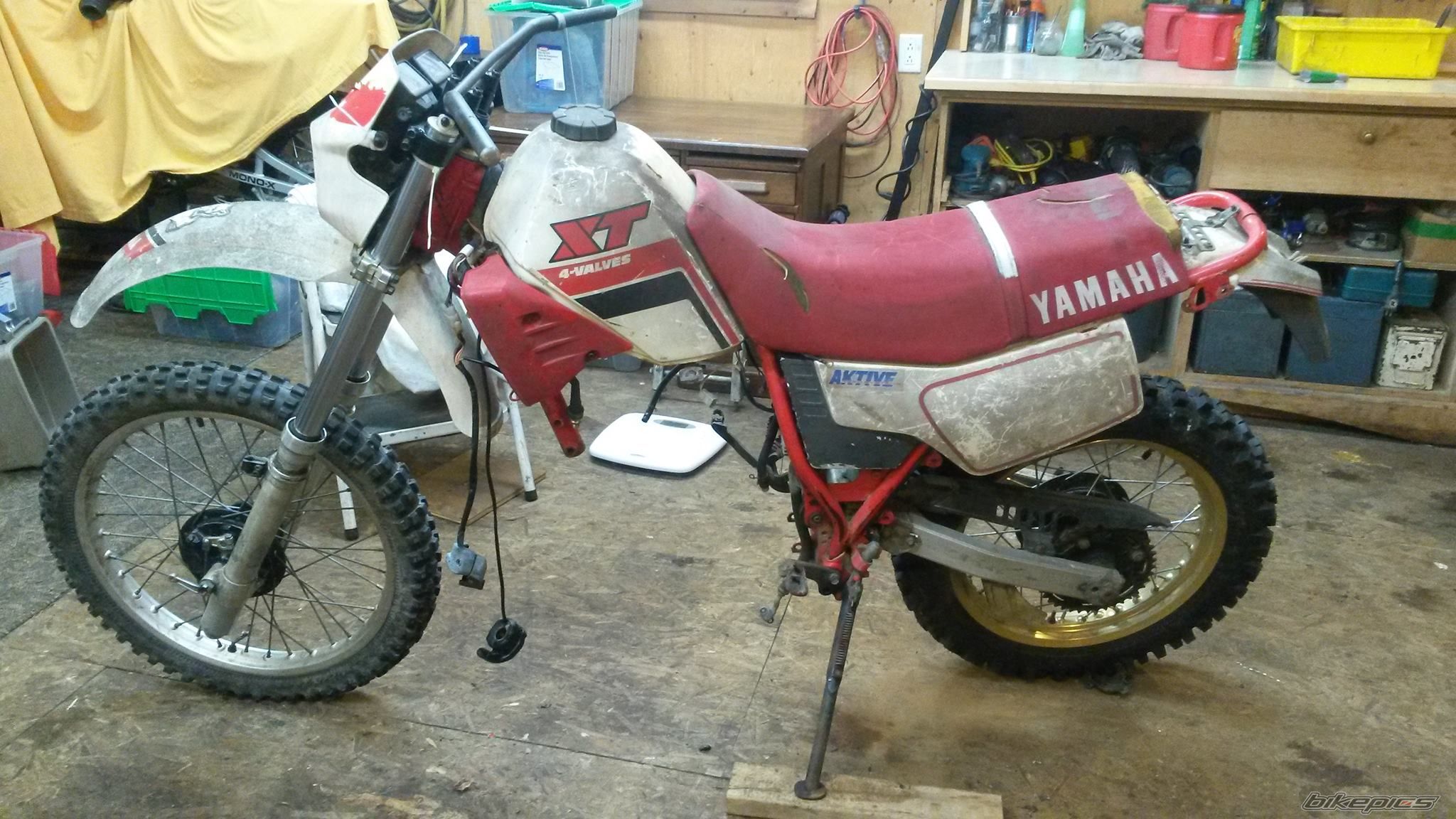 Photo 2774930