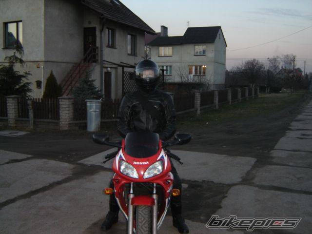 Photo 277499