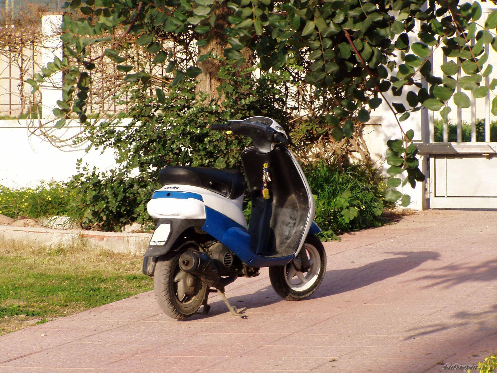 Photo 277506