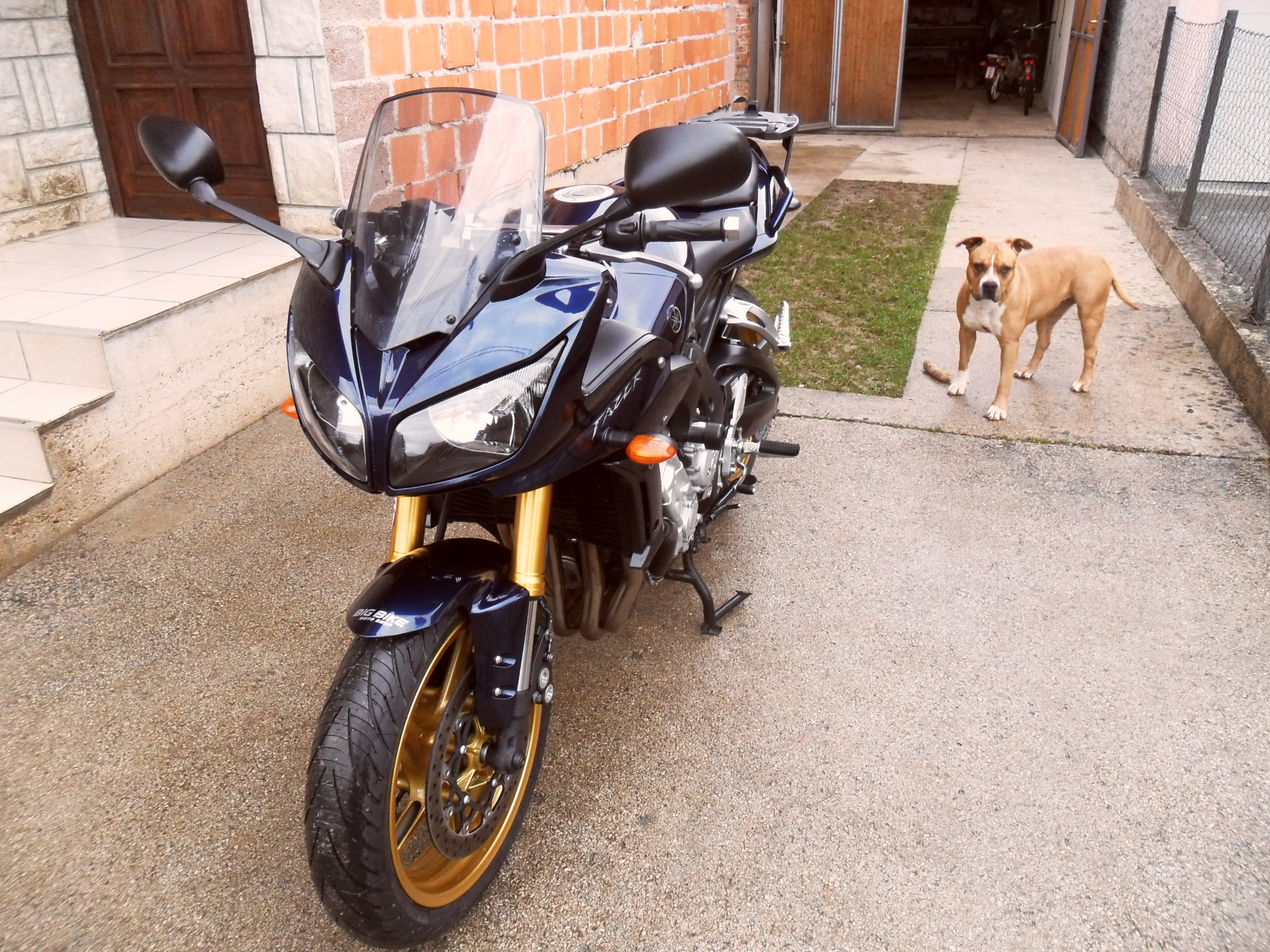 Photo 2775094