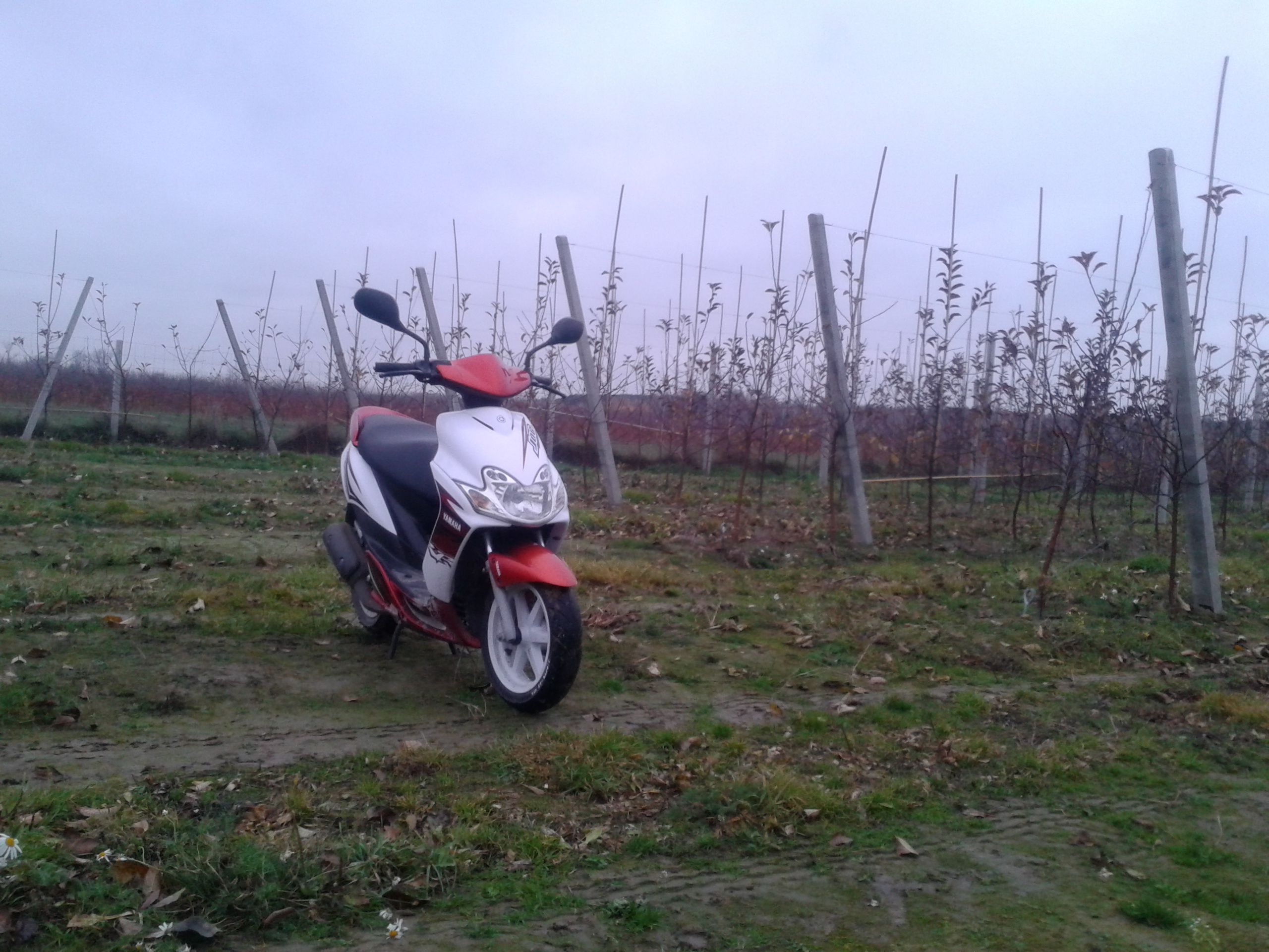 Photo 2775099