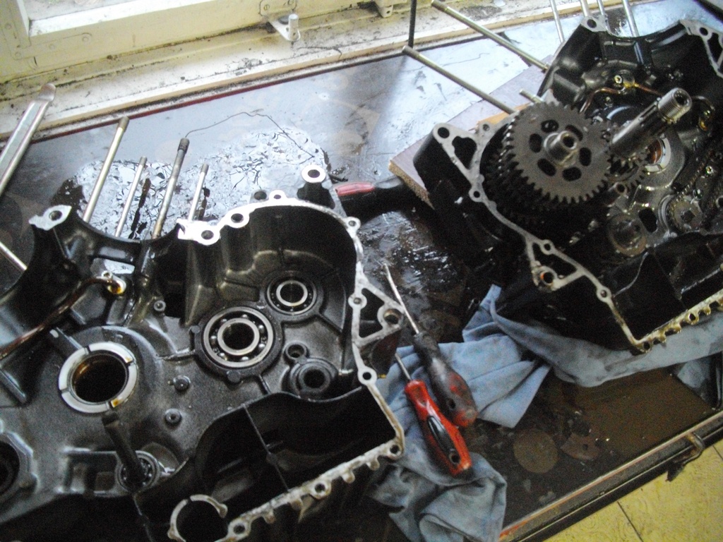 Photo 2775163