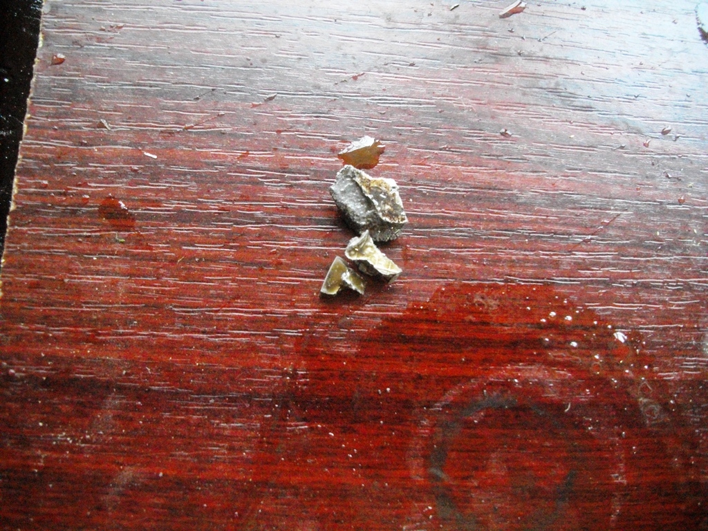 Photo 2775166