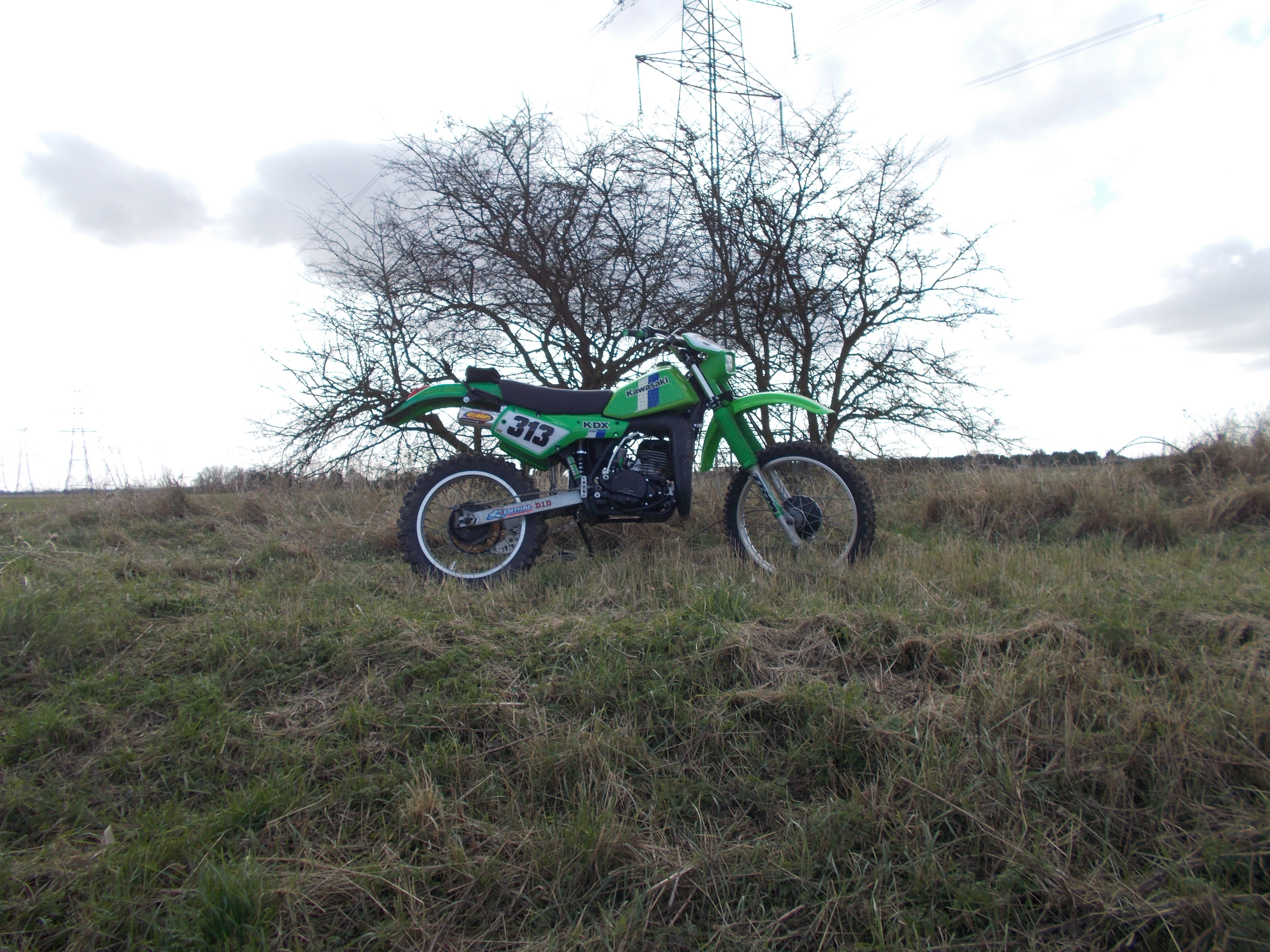 Photo 2775211