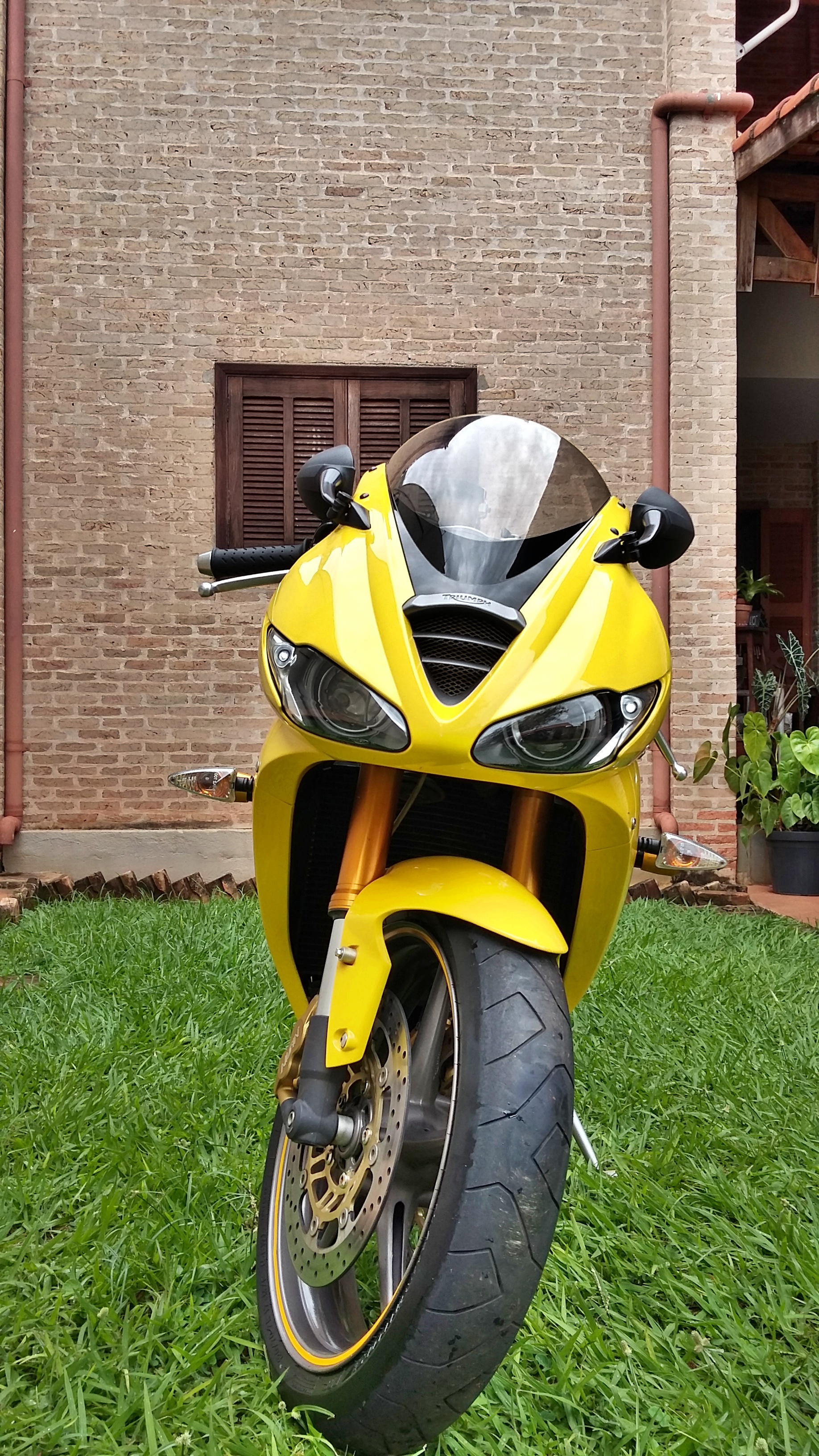 Photo 2775299
