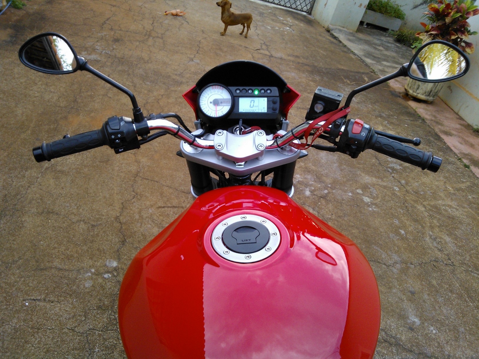 Photo 2775313