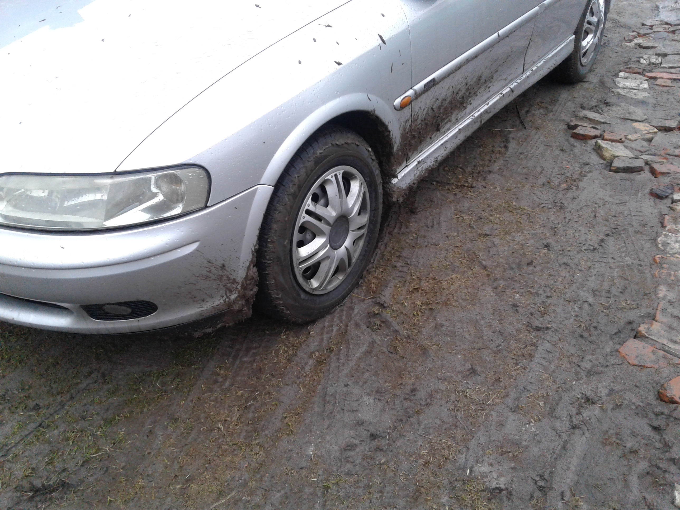 Photo 2775377