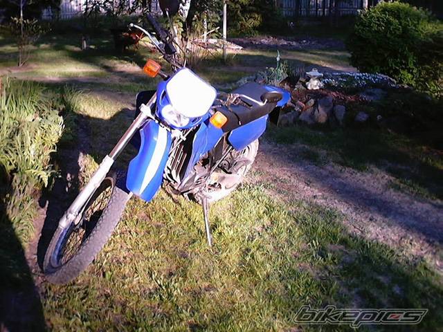 Photo 27754