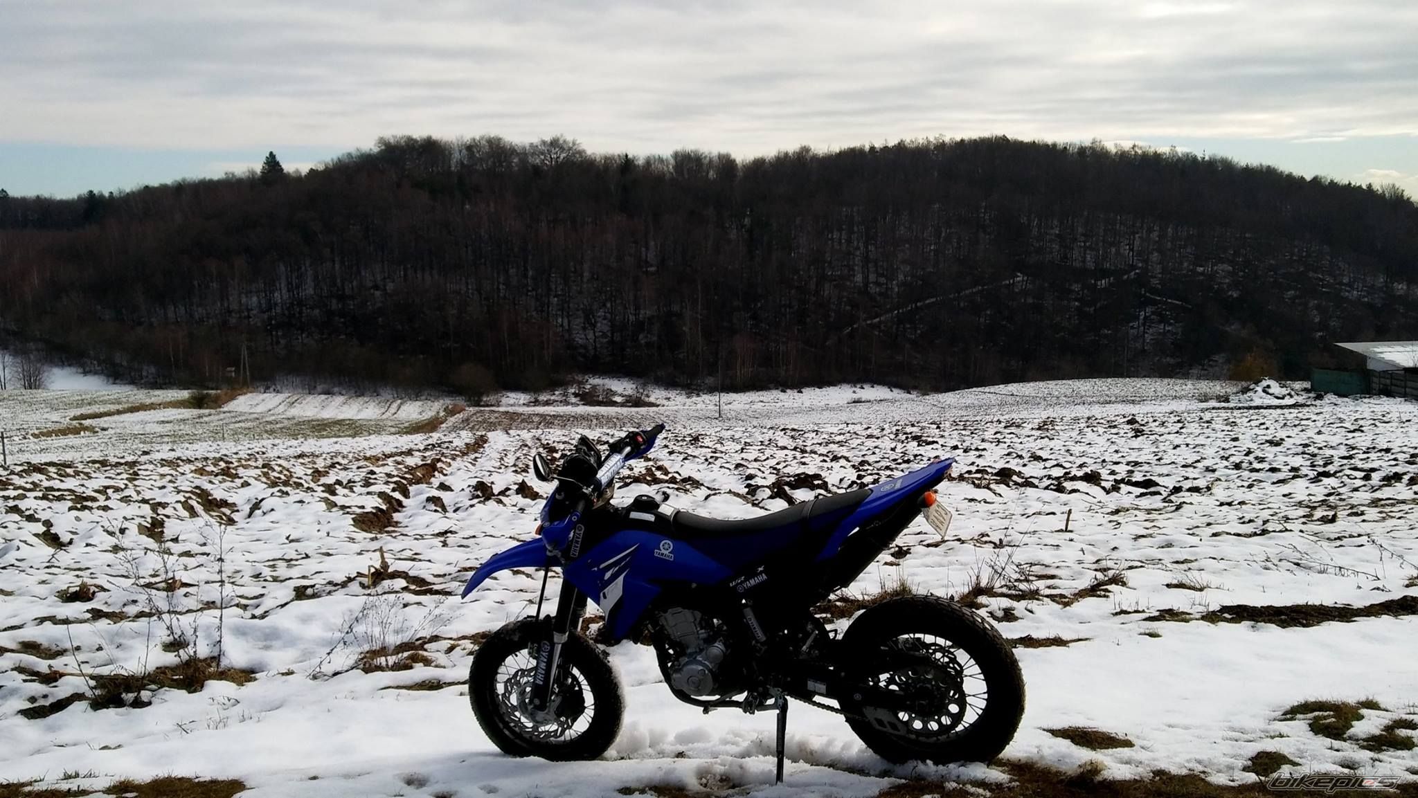 Photo 2775430
