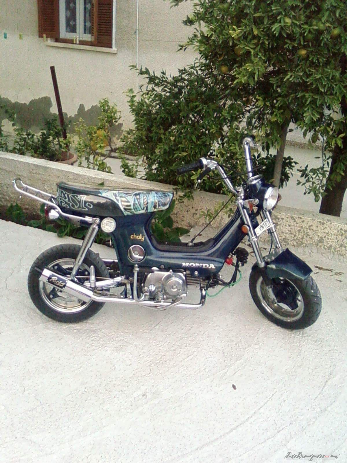 Photo 2775555