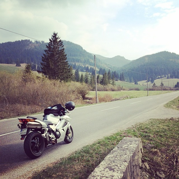 Photo 2775653