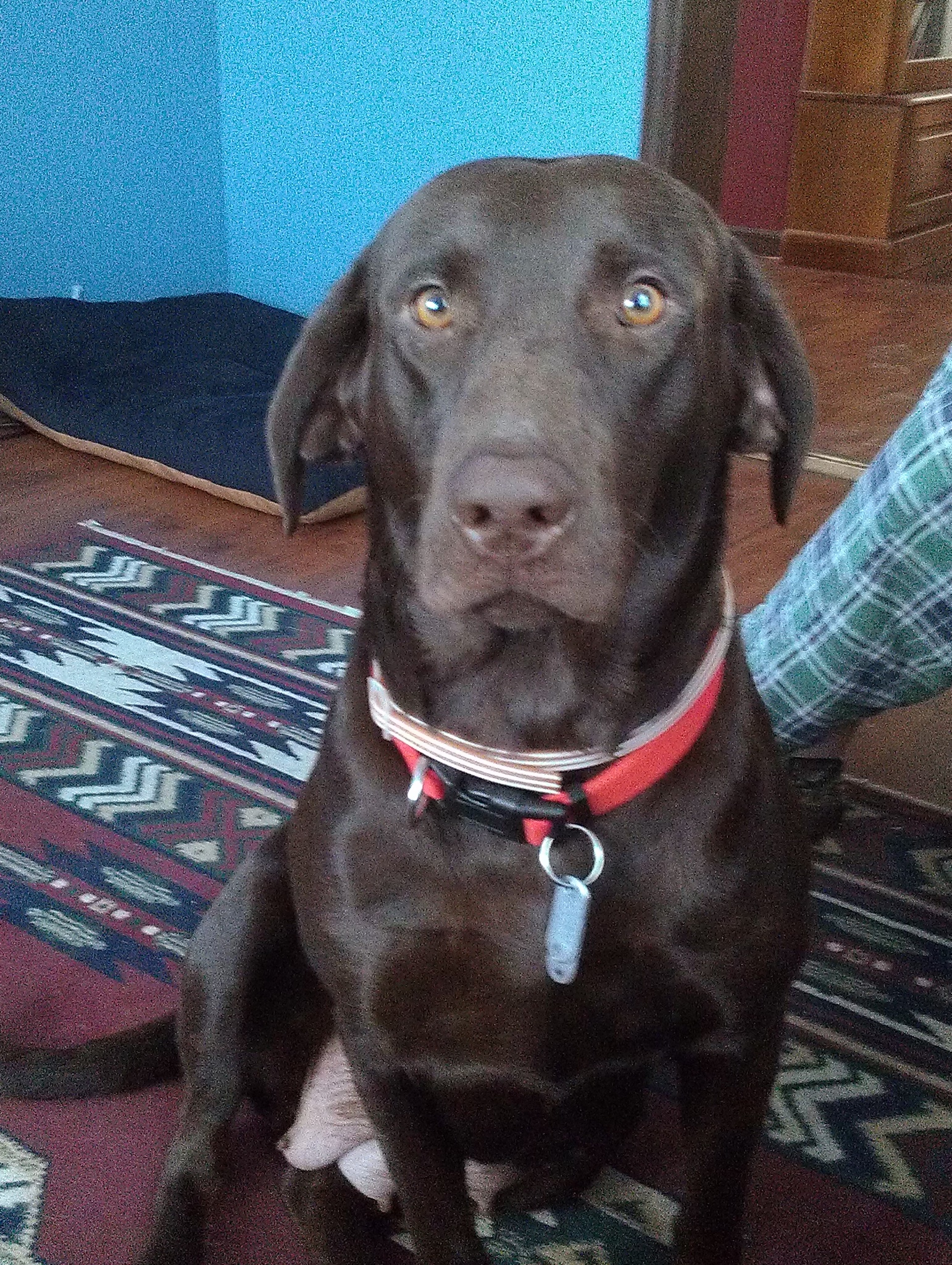 Photo 2775742