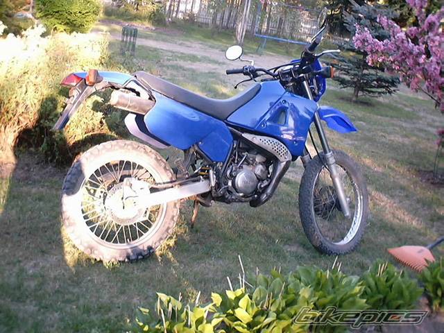 Photo 27758