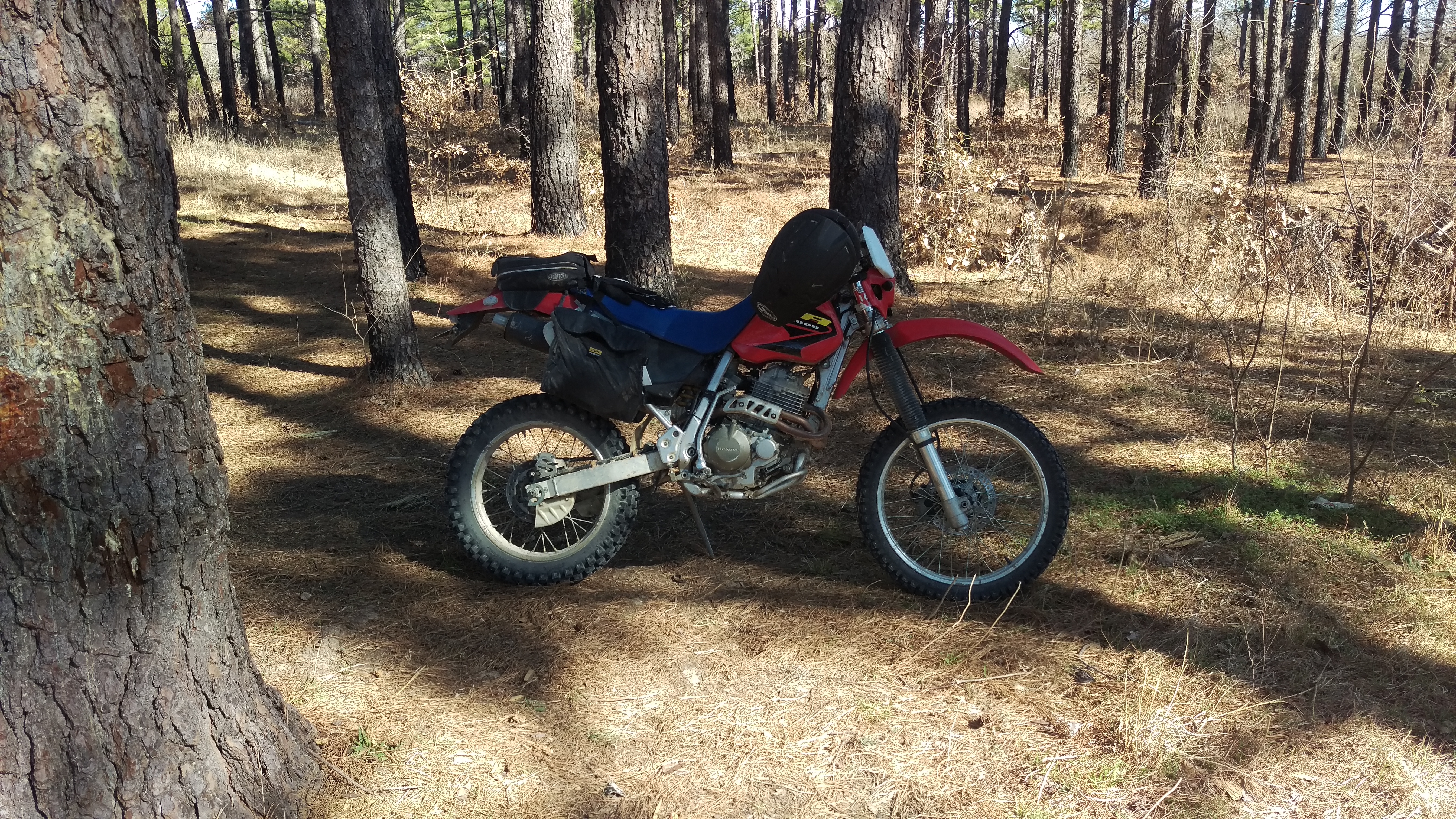 Photo 2775815
