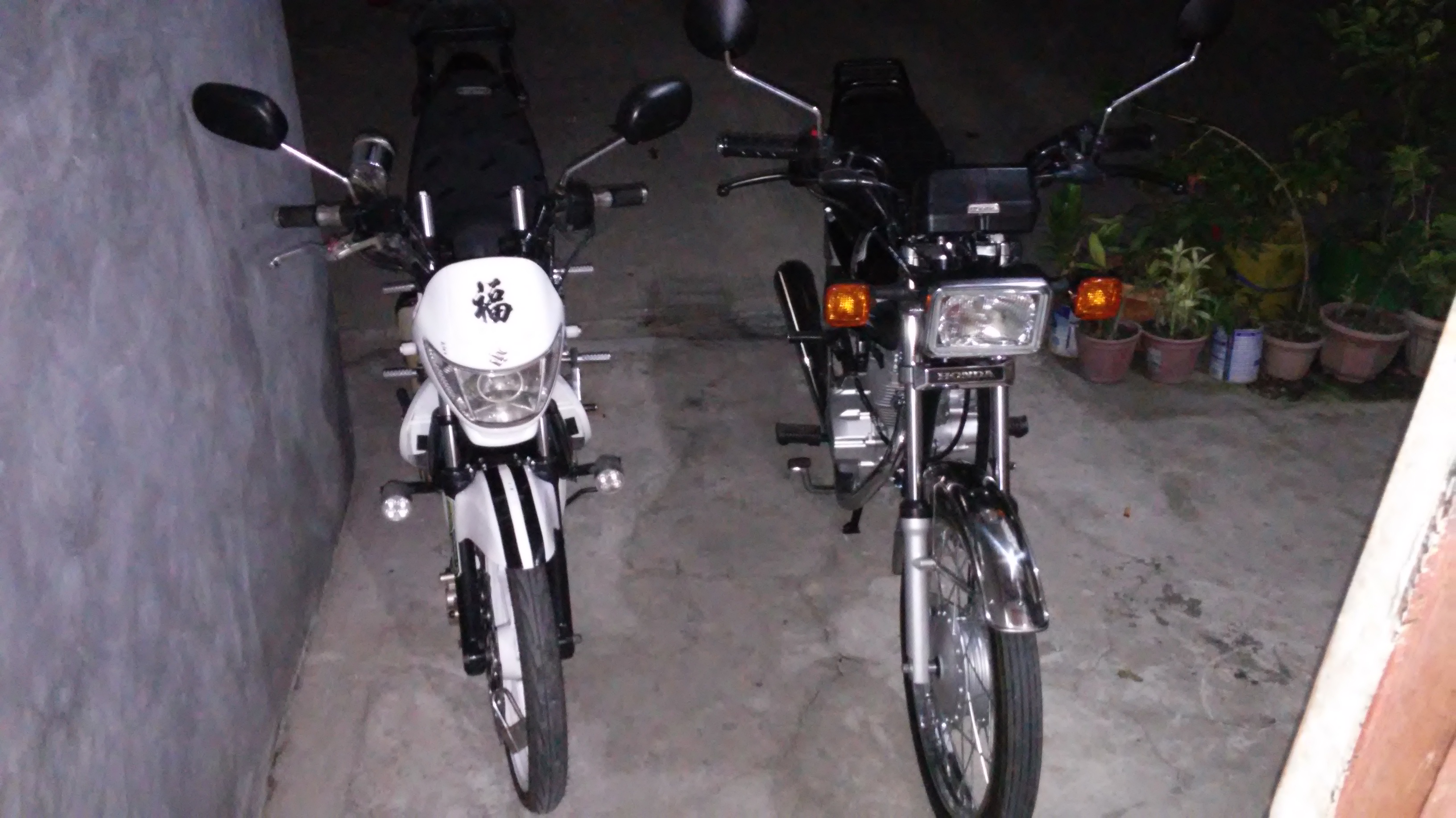 Photo 2776042