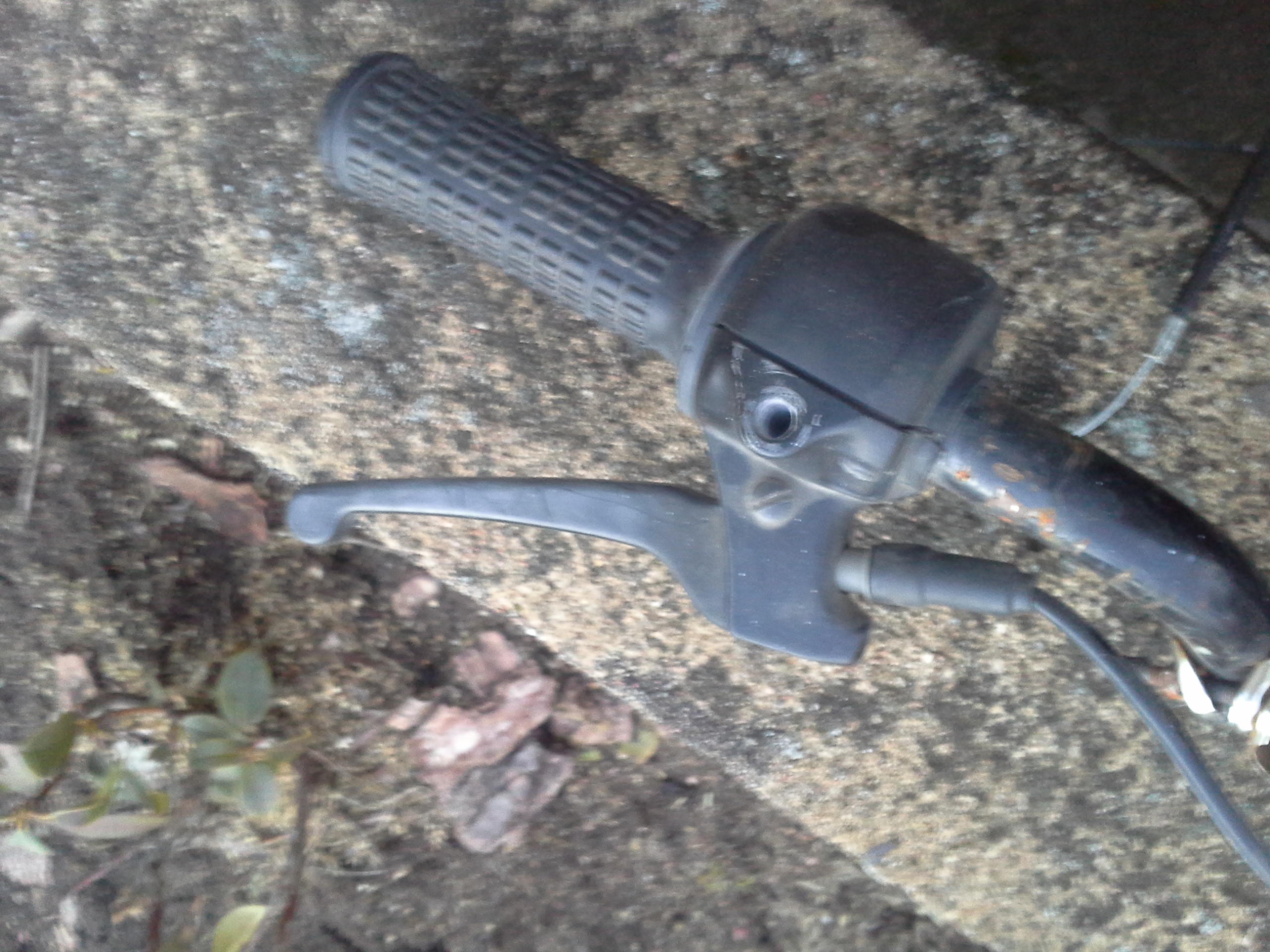 Photo 2776154