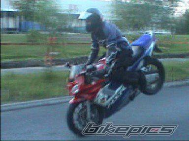 Photo 277618