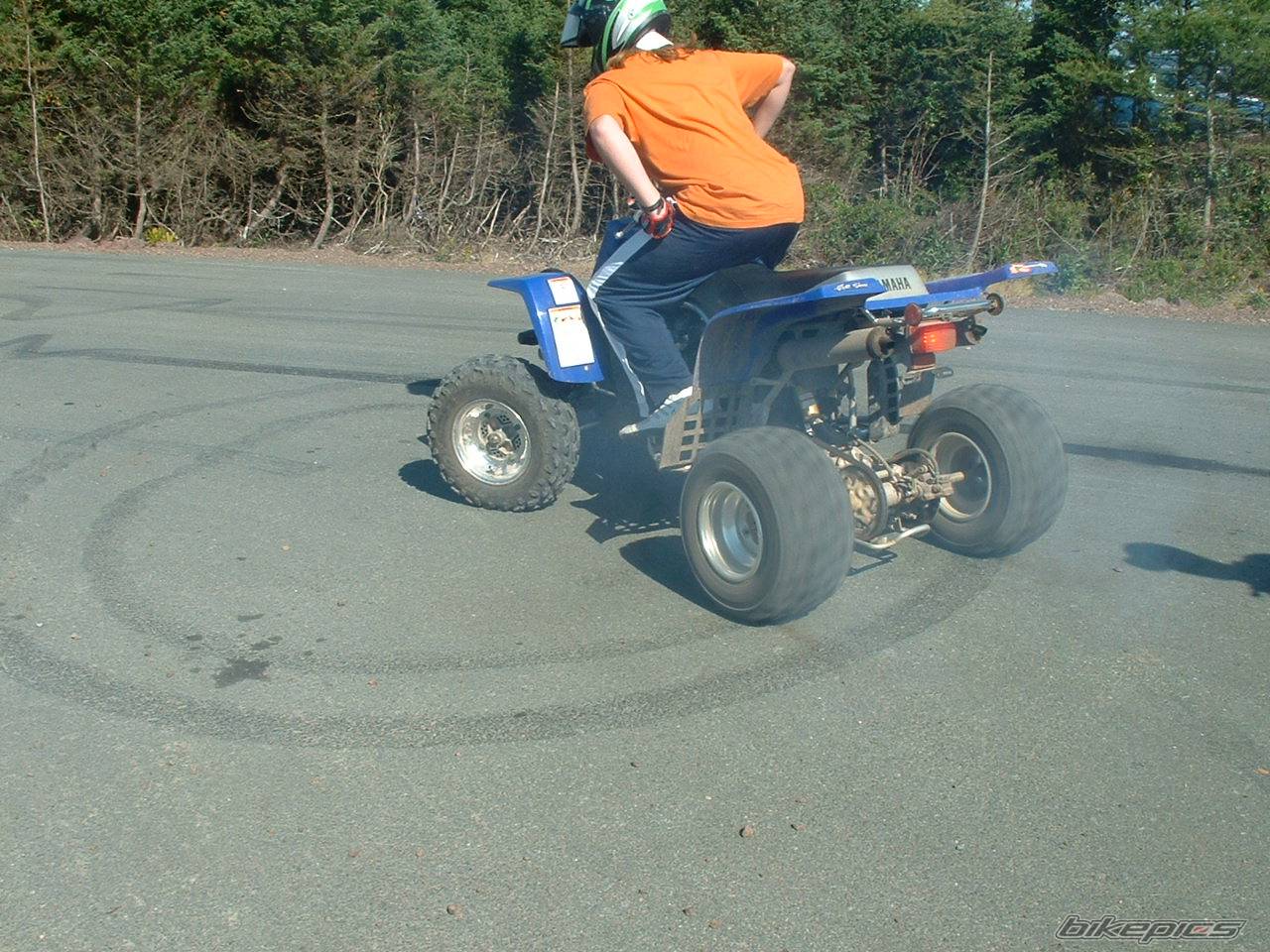 Photo 277619