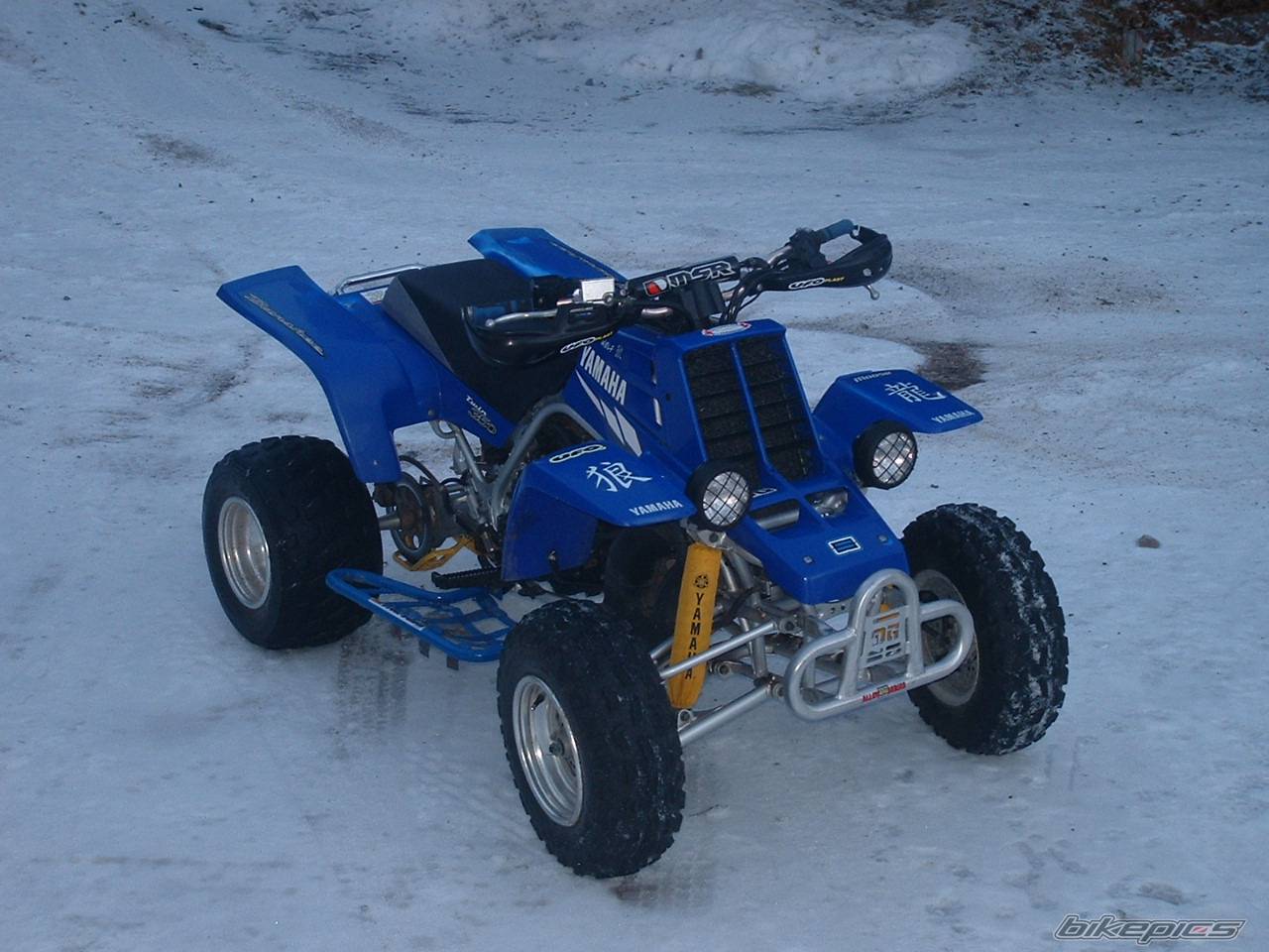 Photo 277620