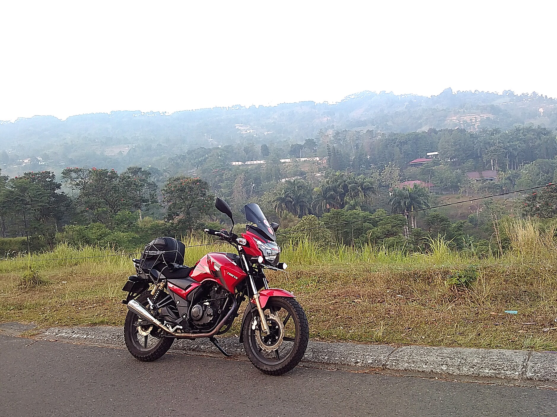 Photo 2776227