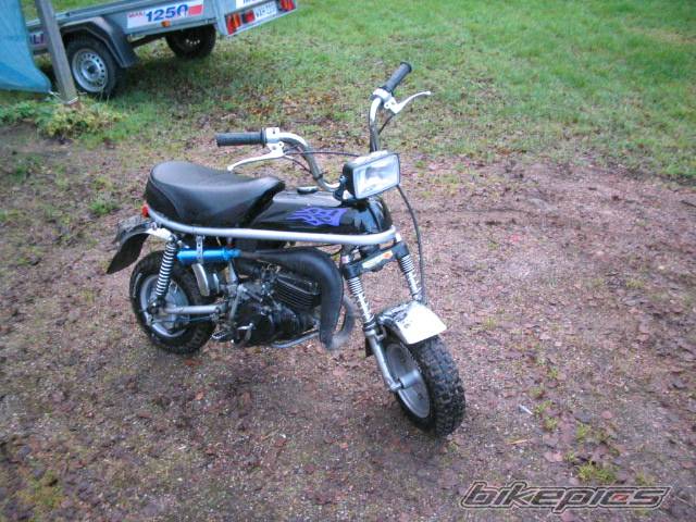 Photo 277626