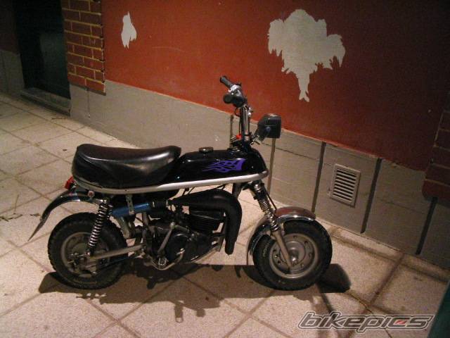 Photo 277627