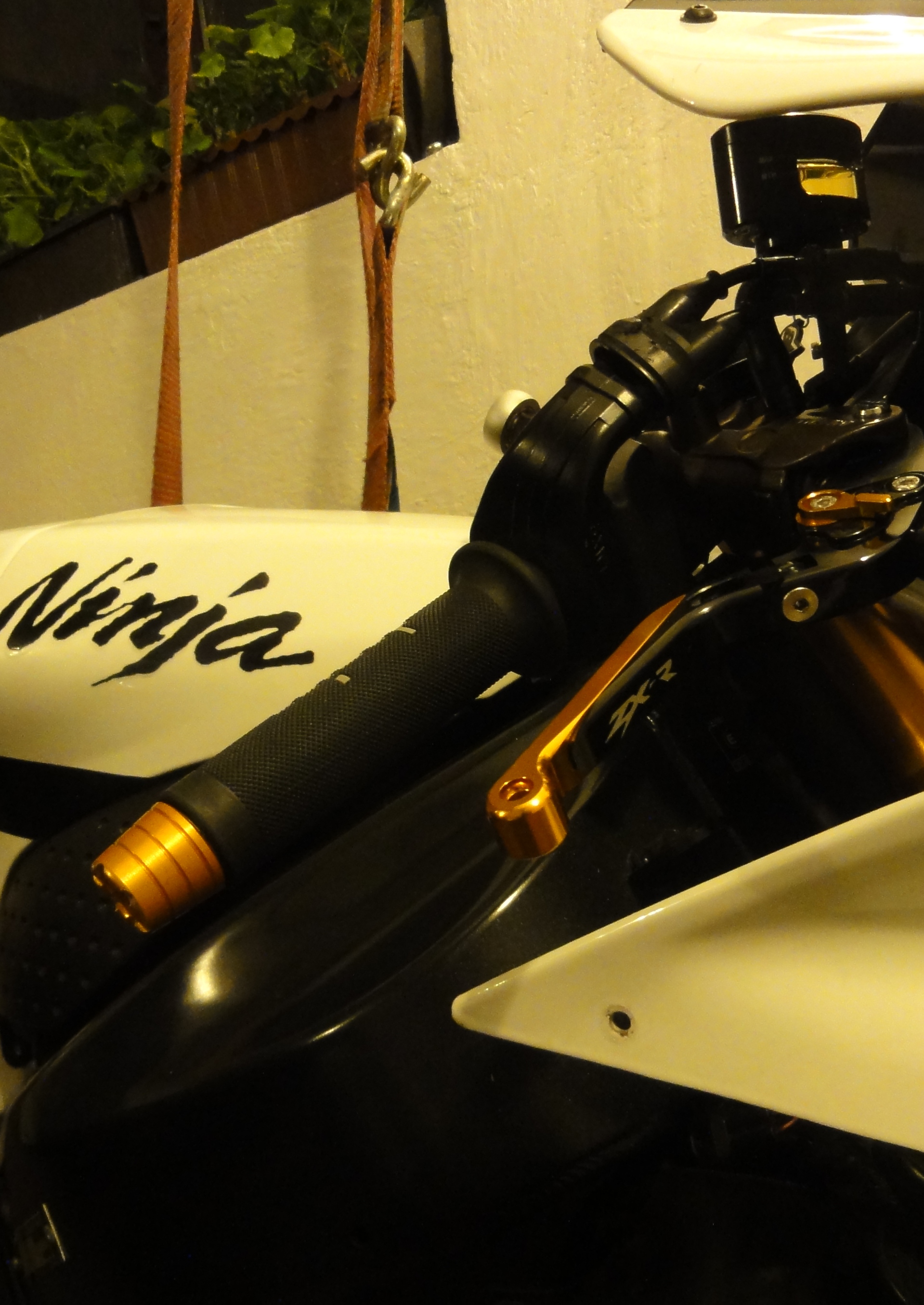 Photo 2776279