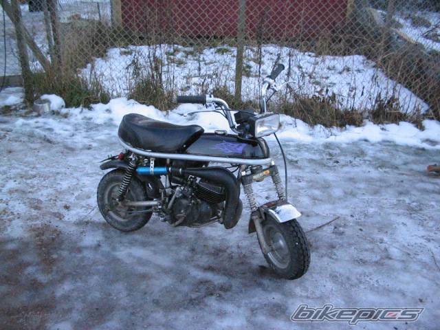 Photo 277629