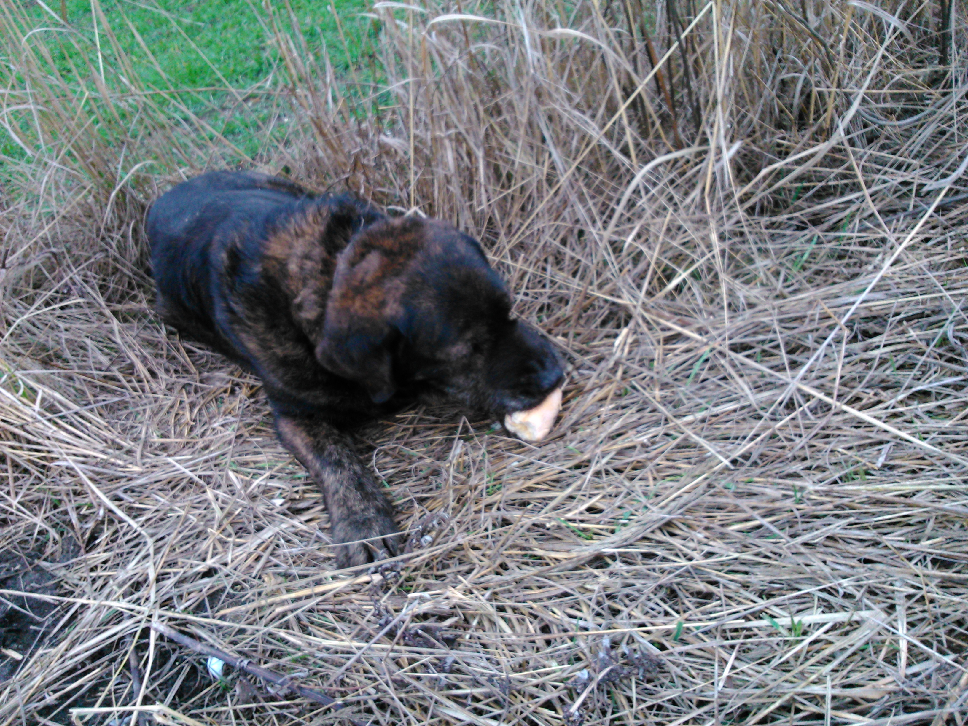 Photo 2776449