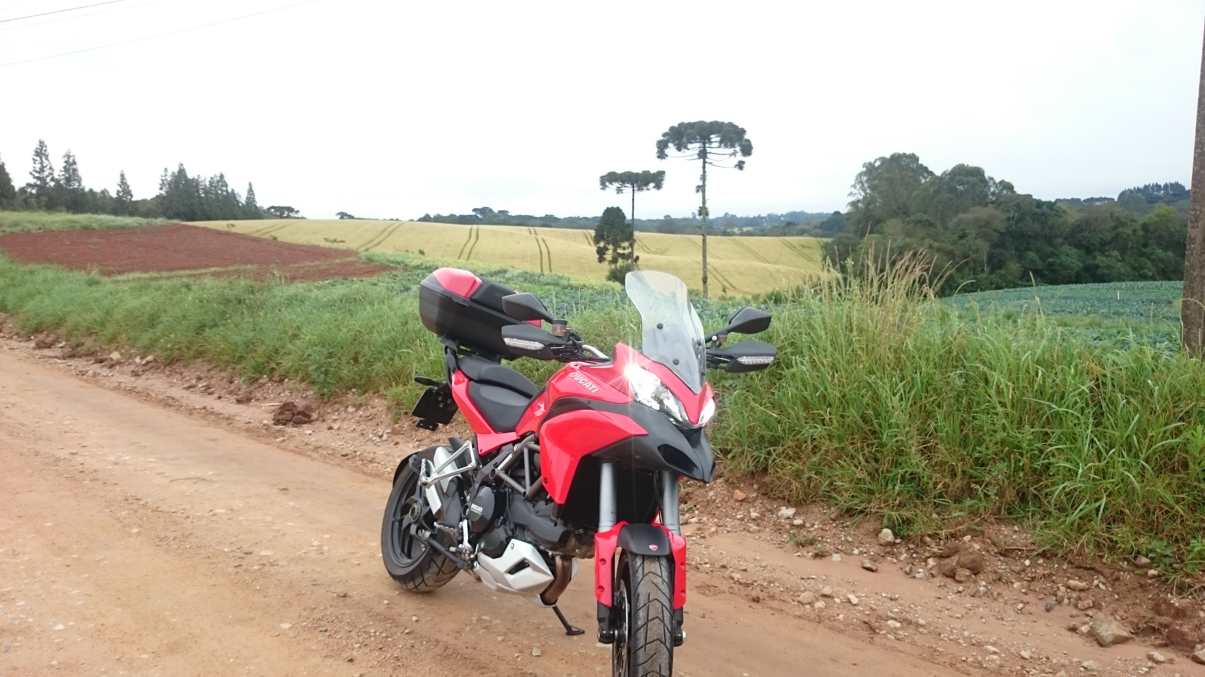 Photo 2776568