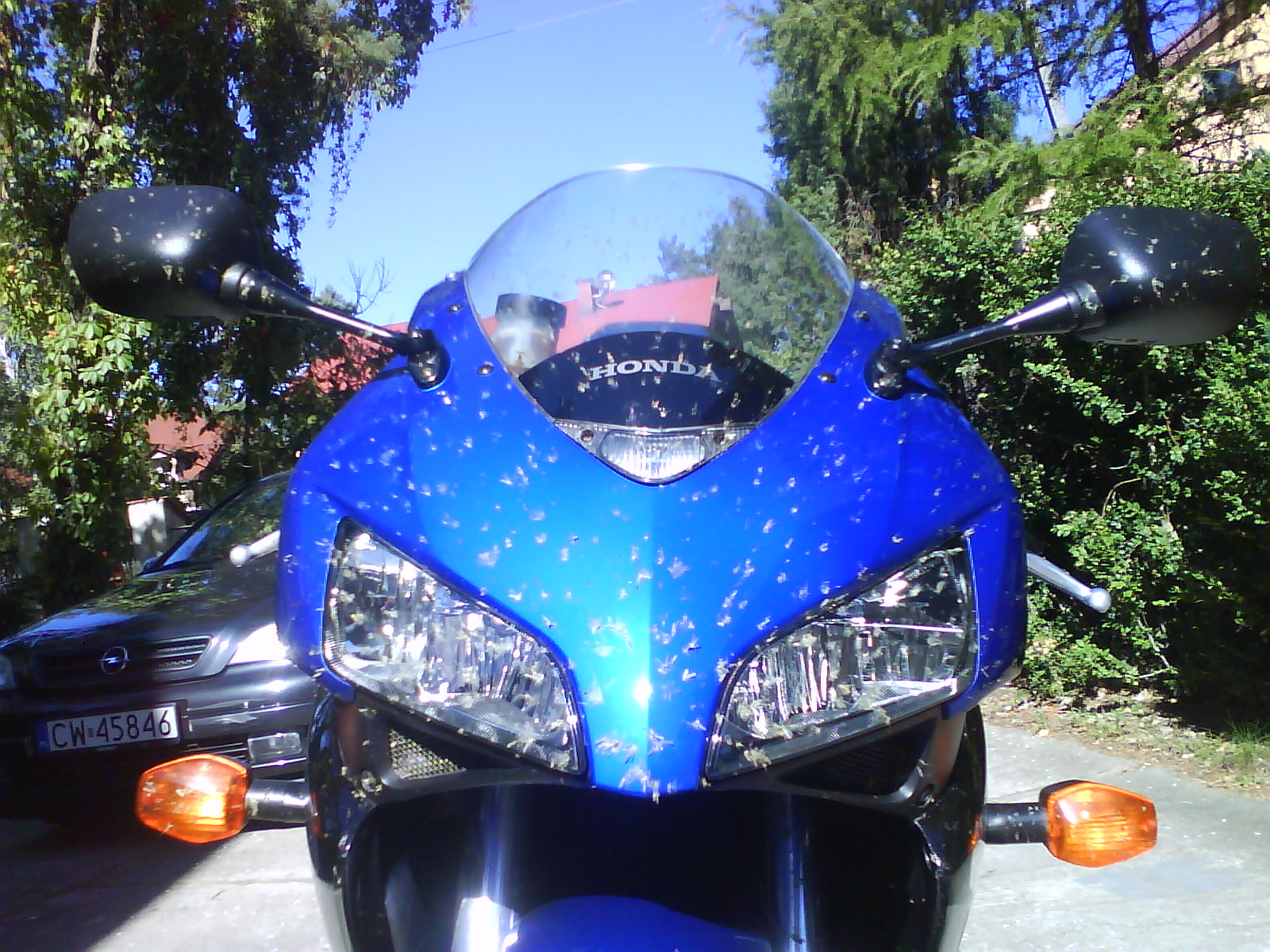Photo 2776710