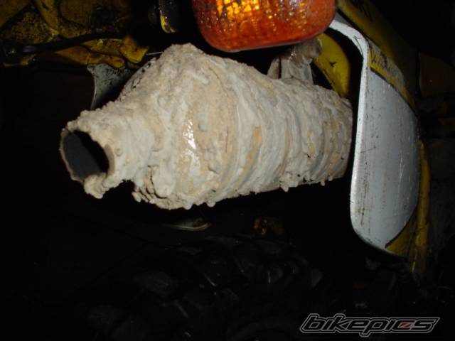 Photo 277676