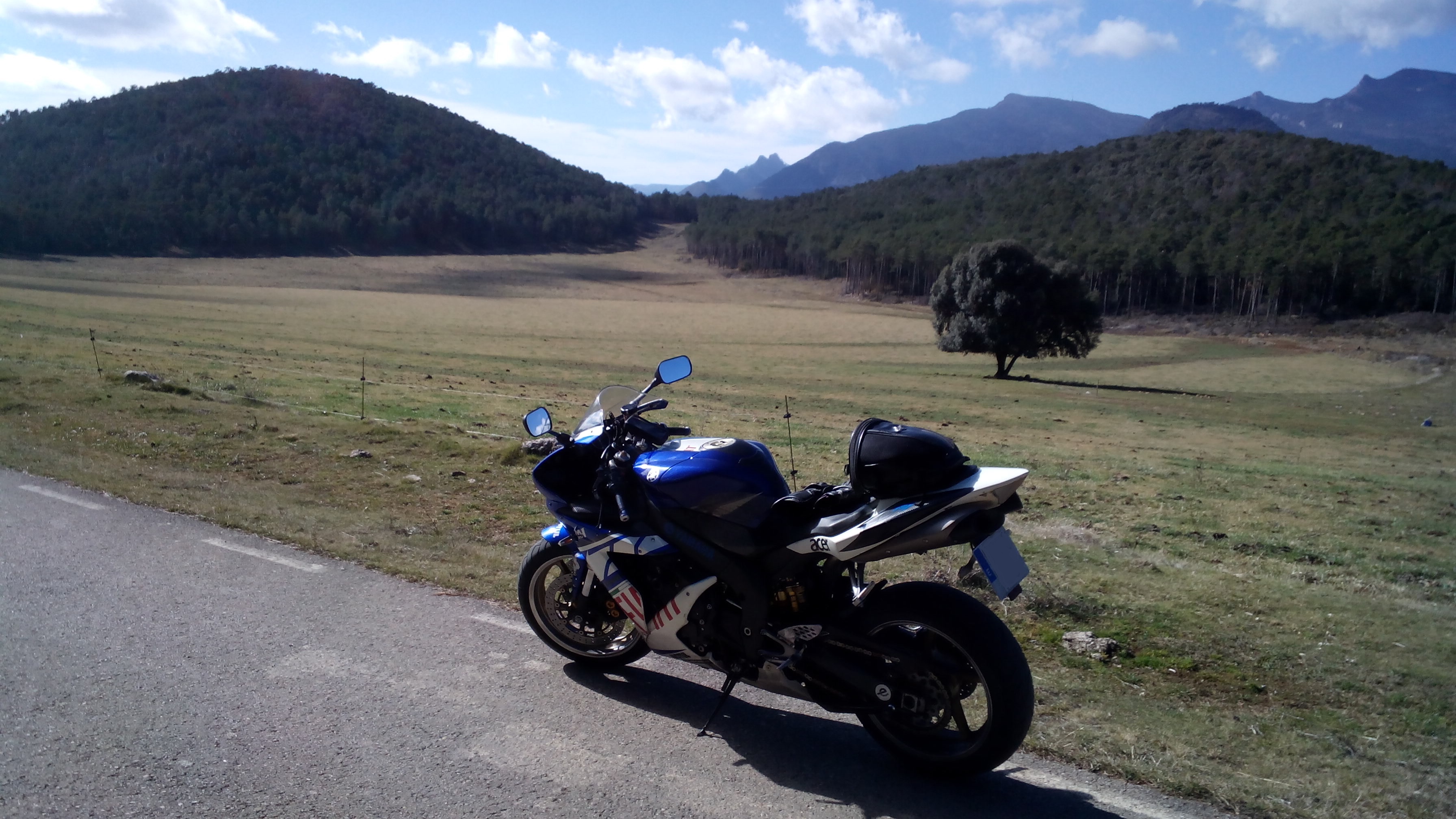 Photo 2776853