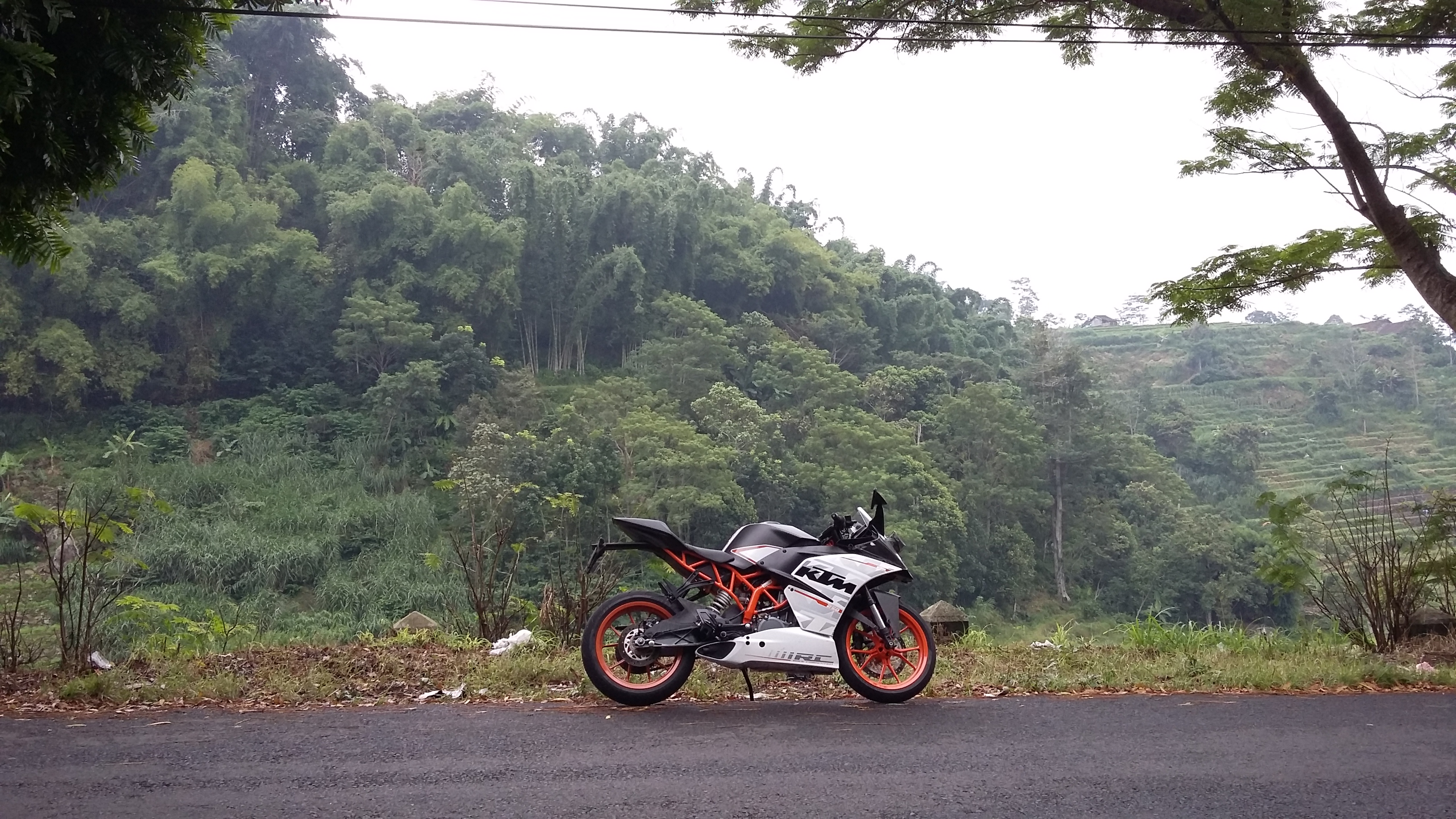 Photo 2776893